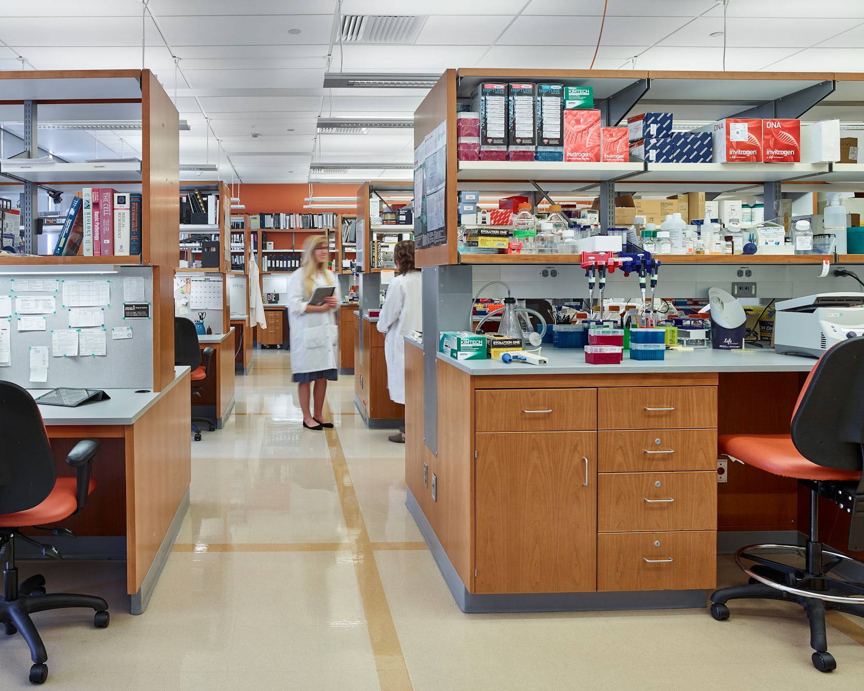 CHOP, Colket Translational Research Building by Ballinger Architizer