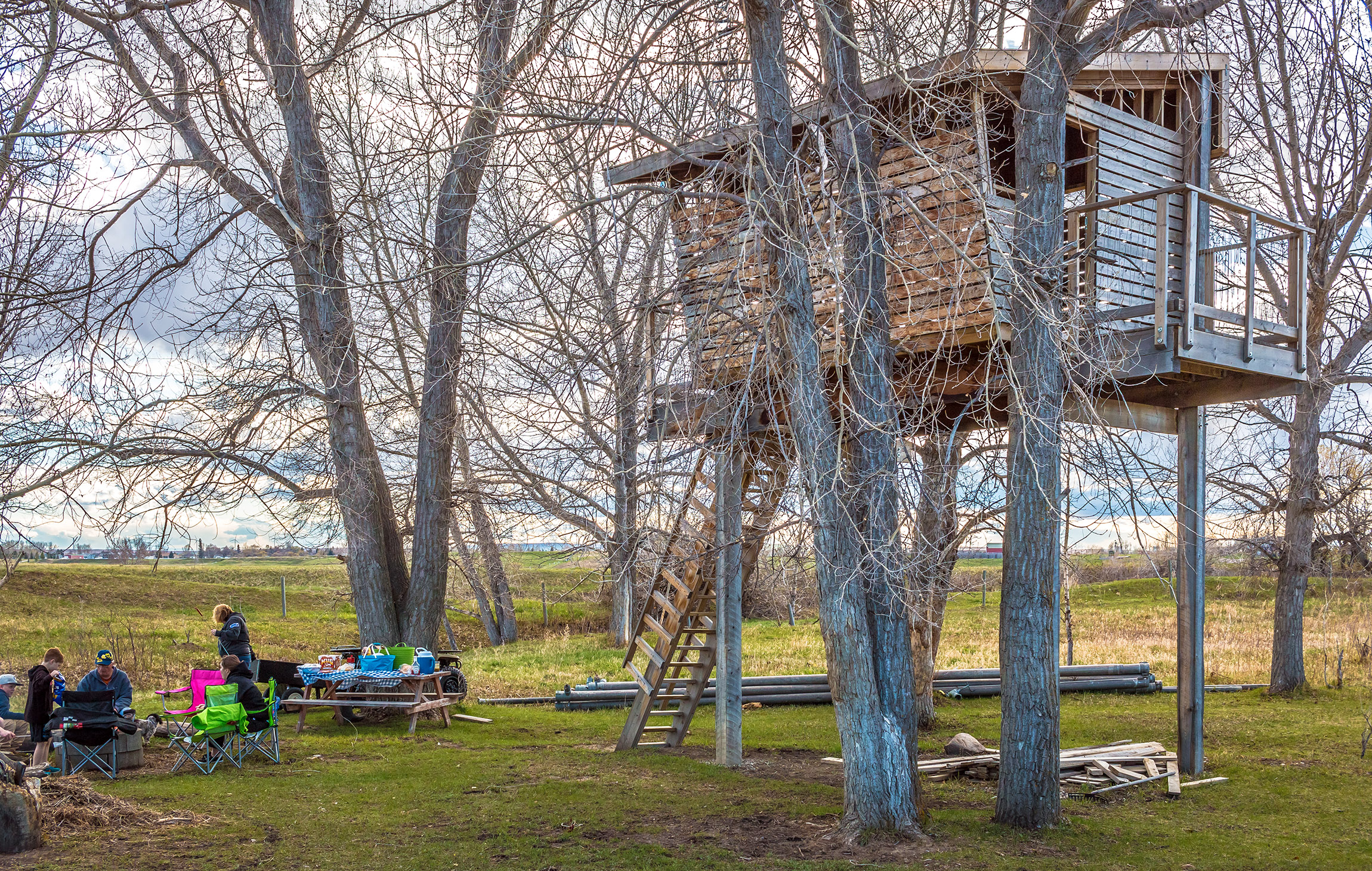 Treetop House Architizer