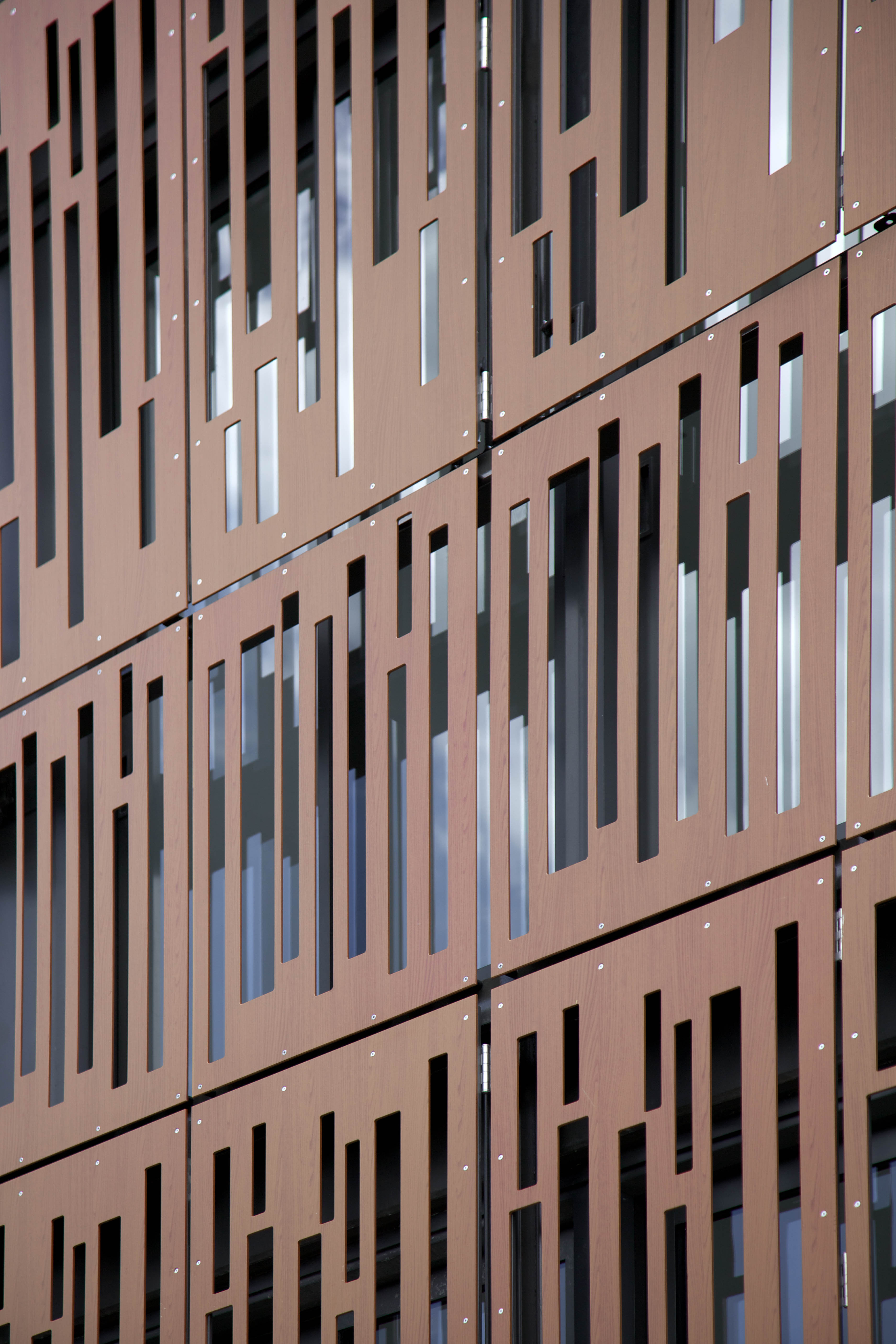 Balfour Apartments by Leuschke Group Architects Architizer