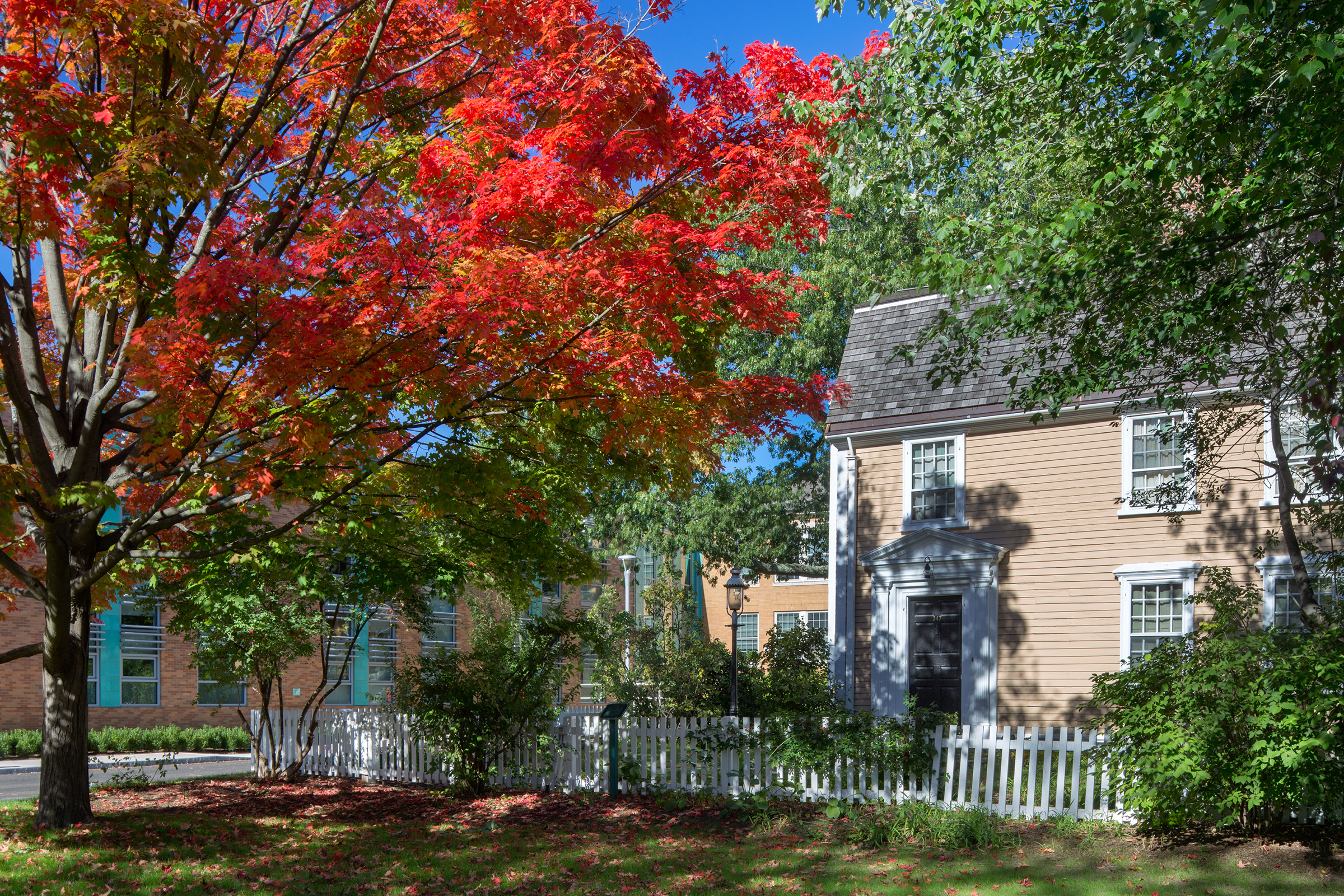Coolidge Corner School by HMFH Architects, Inc. Architizer