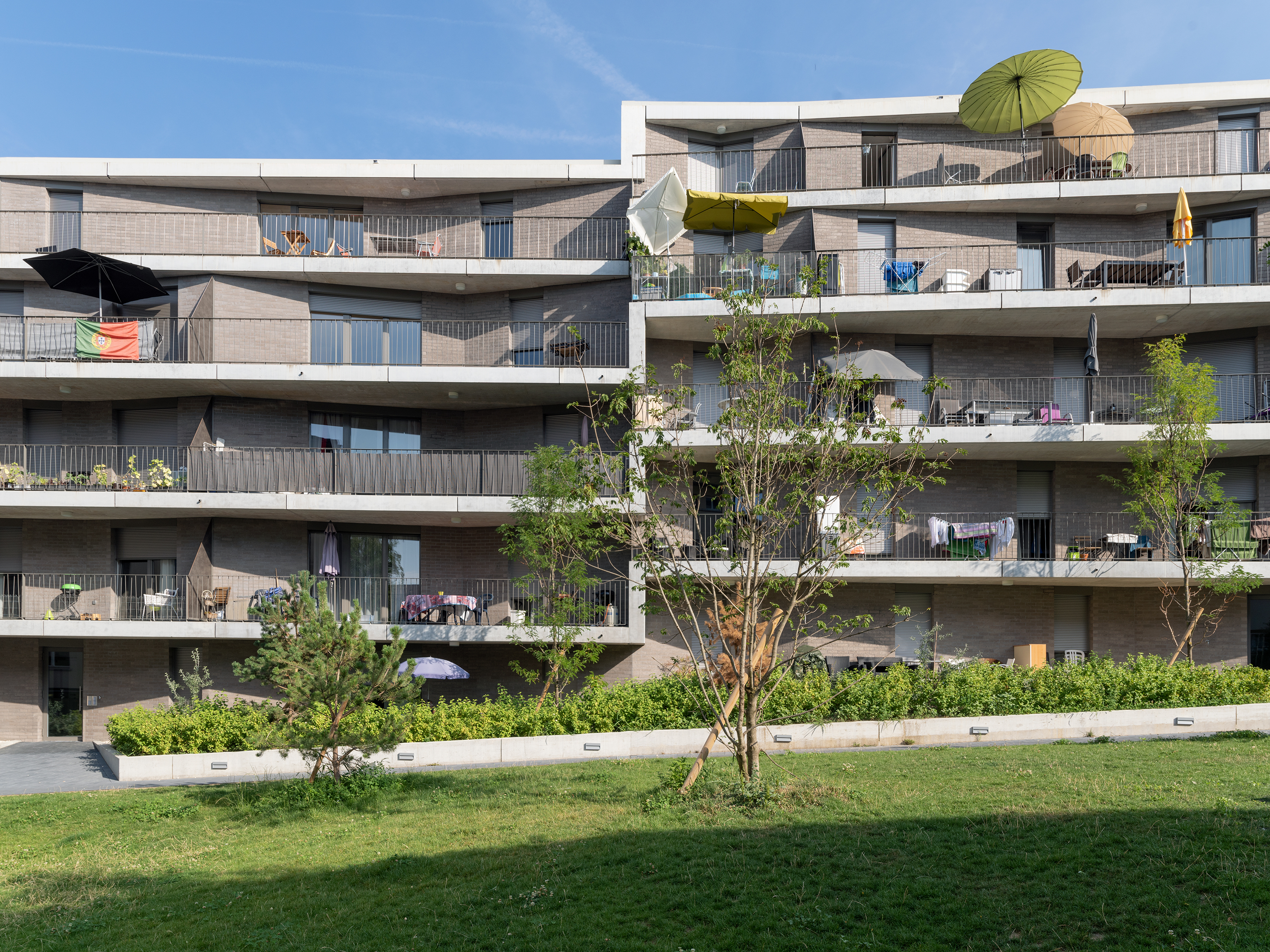 AVENIR HOUSING by LOCALARCHITECTURE - Architizer
