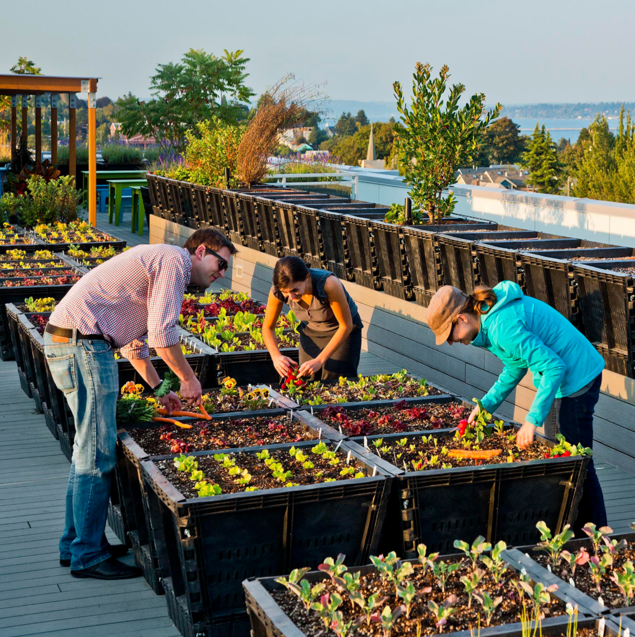 Greenhouse Apartments by Runberg Architecture Group Architizer