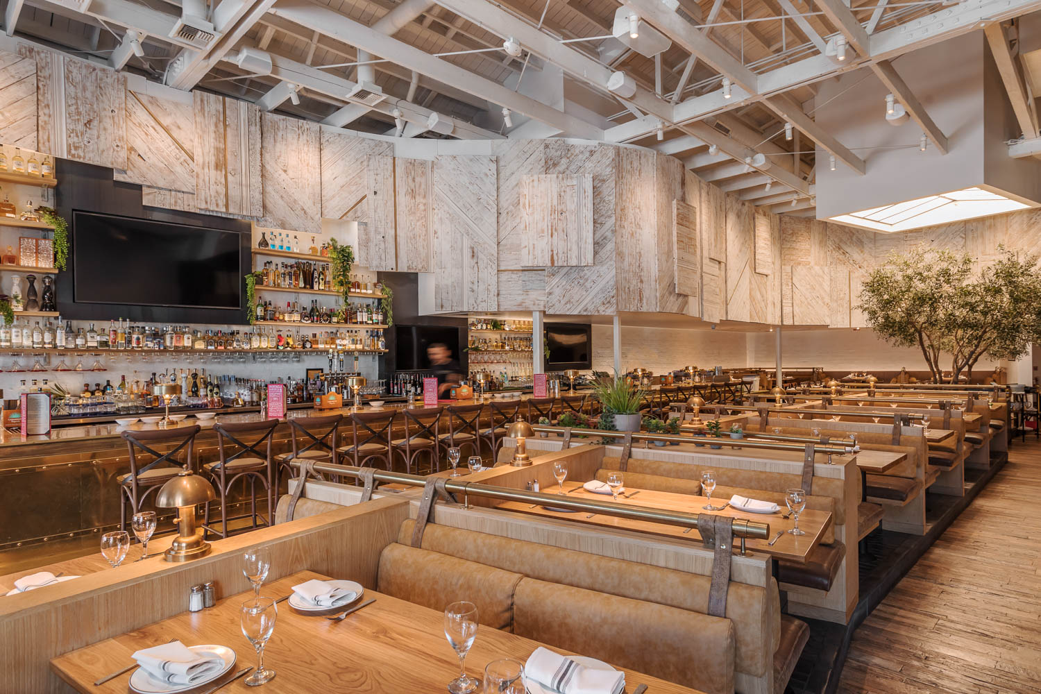 CANTINA FRIDA by JAGAR ARCHITECTURE Architizer