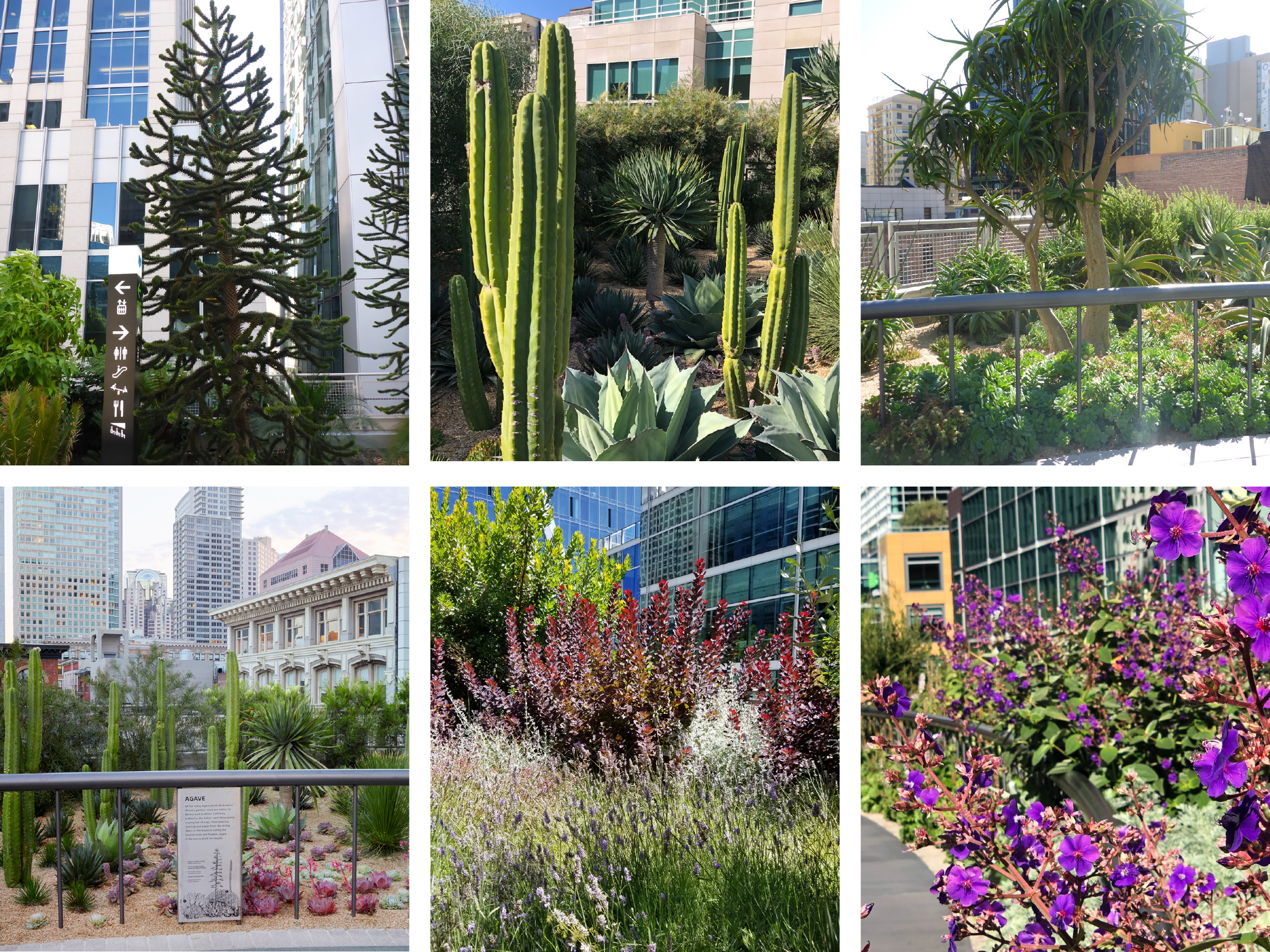 salesforce transit center park