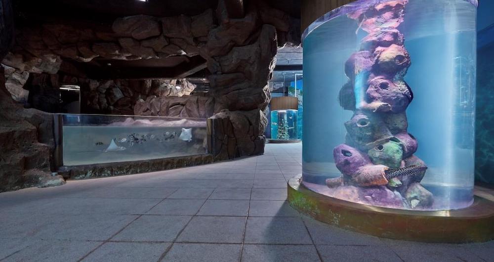 VGP Marine Kingdom by Aquamarine Architizer