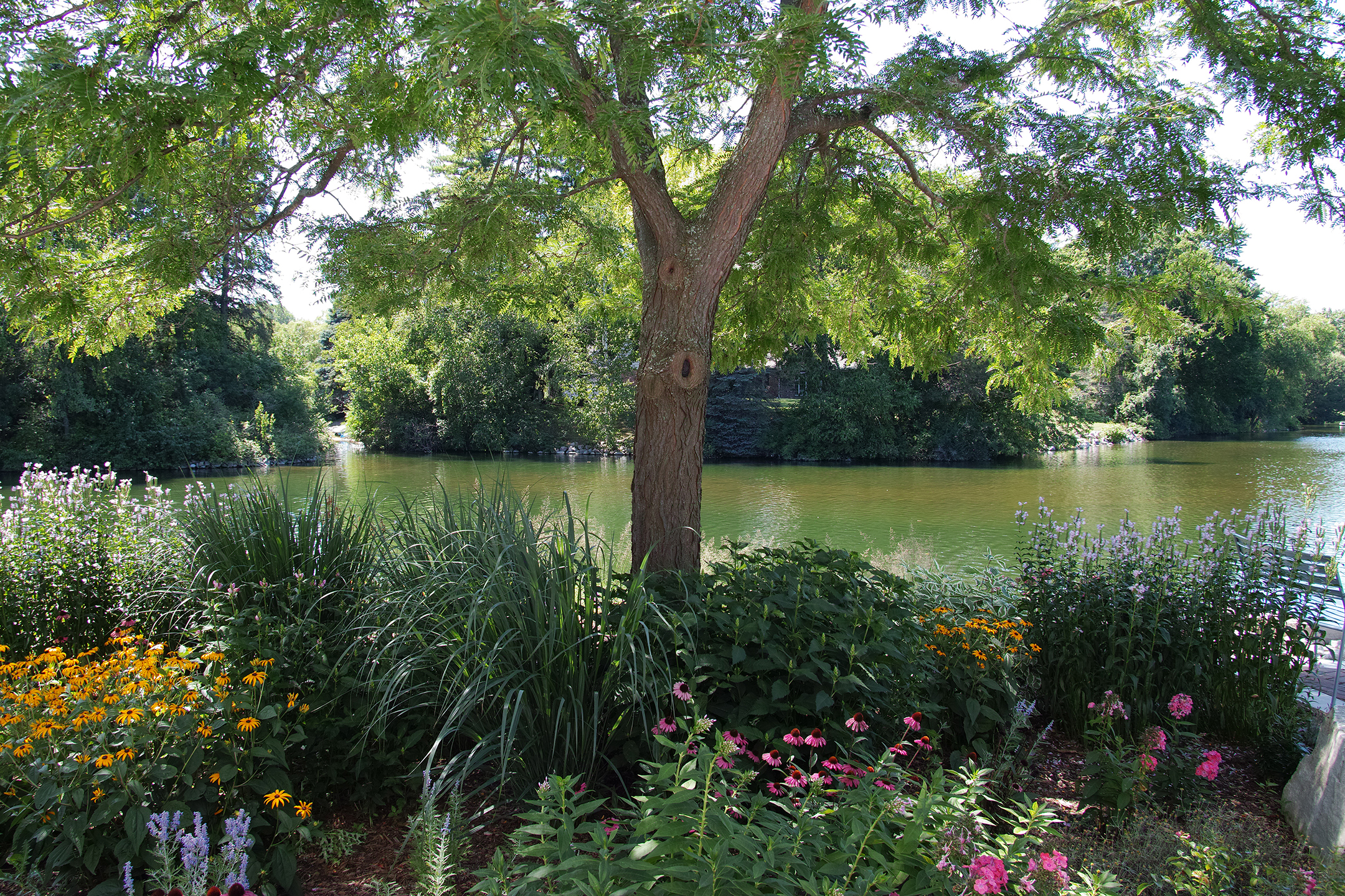 Lakeside Landscape by Dameron Architecture Architizer