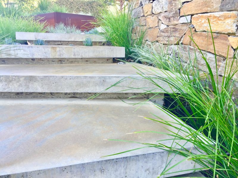 Mosman park by Springgreen Landscapes Architizer