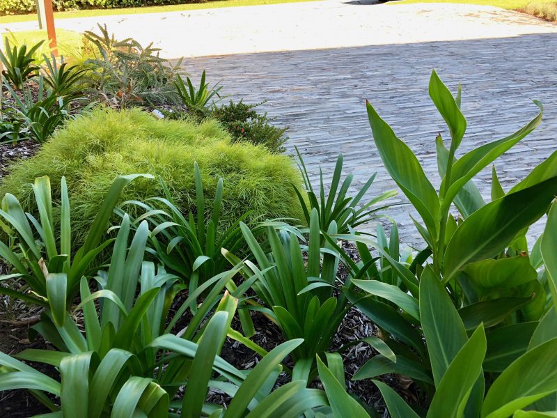 Mosman park by Springgreen Landscapes Architizer