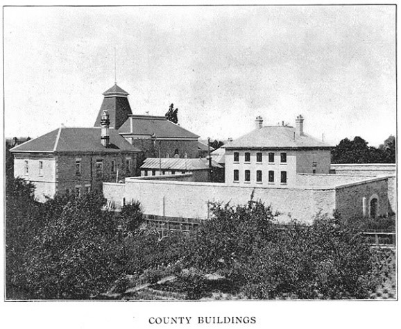 Tom Thomson Art Gallery by GM Diemert Architect Inc Architizer