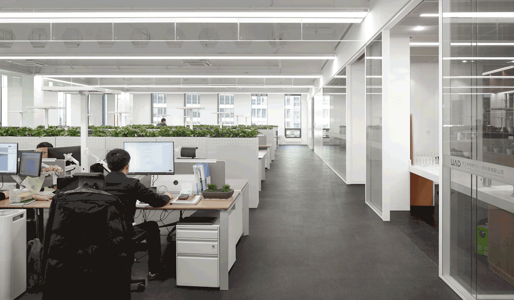 UAD Campus in ZITOWN by The Architectural Design & Research Institute