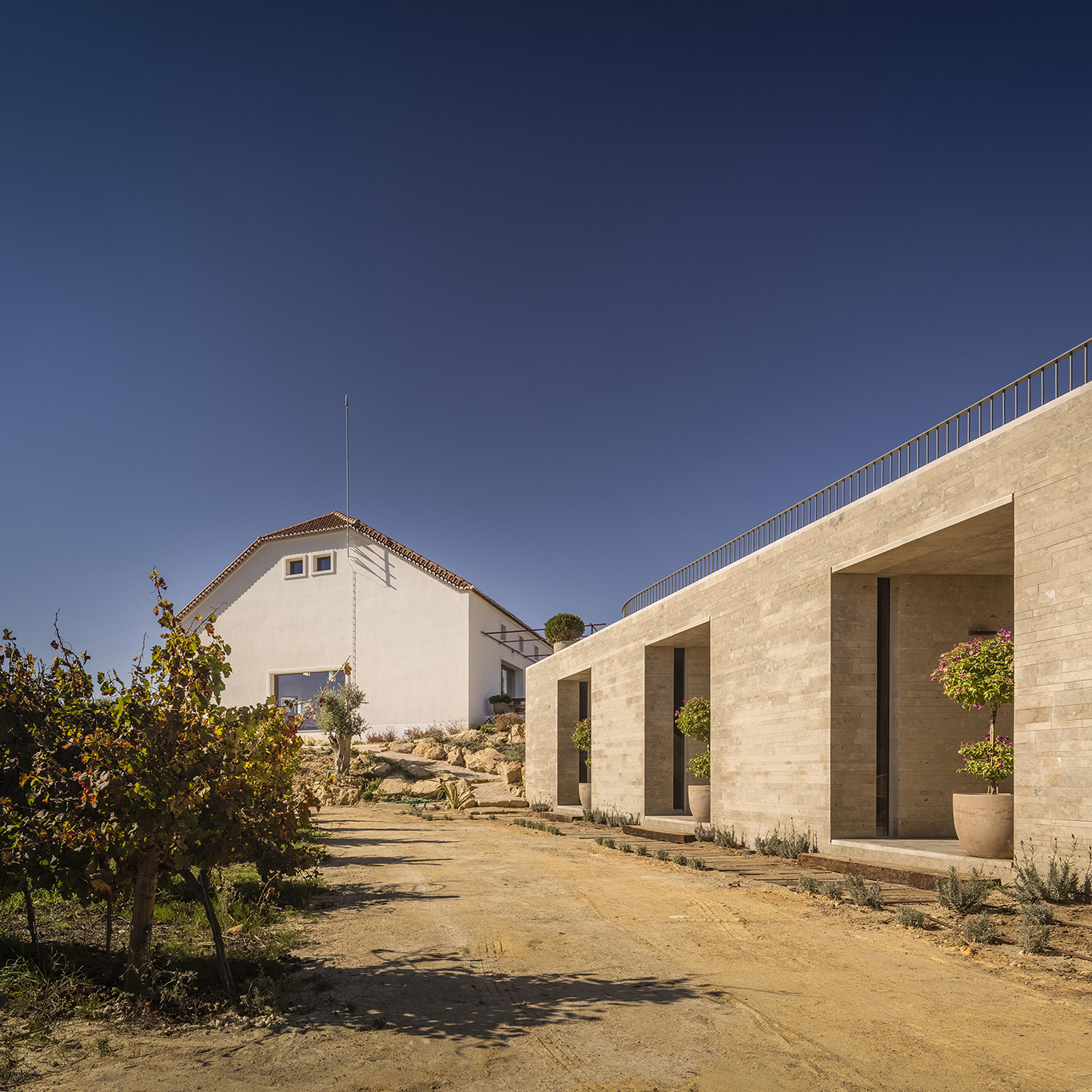 idea-3414313-wine-tourism-apartments-cas-amaro-by-atelier-central