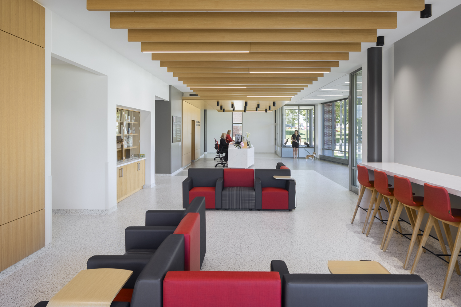 Frank Stanton Veterinary Spectrum of Care Clinic by Wellogy Architizer