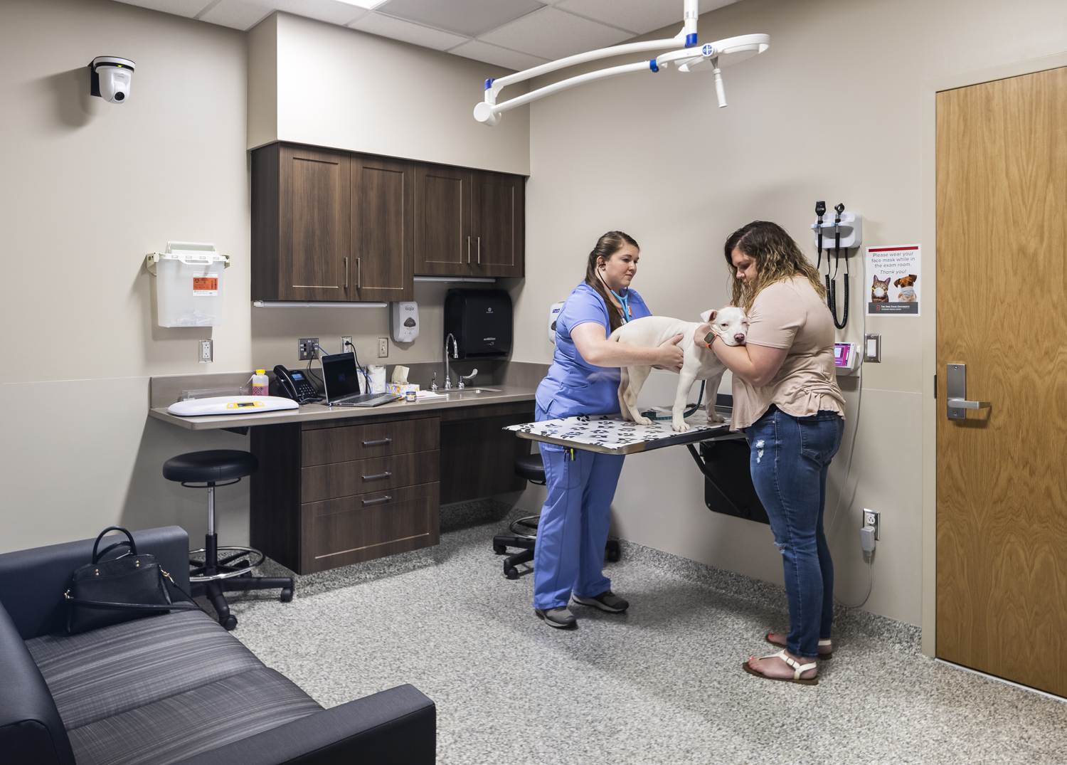 Frank Stanton Veterinary Spectrum of Care Clinic by Wellogy Architizer