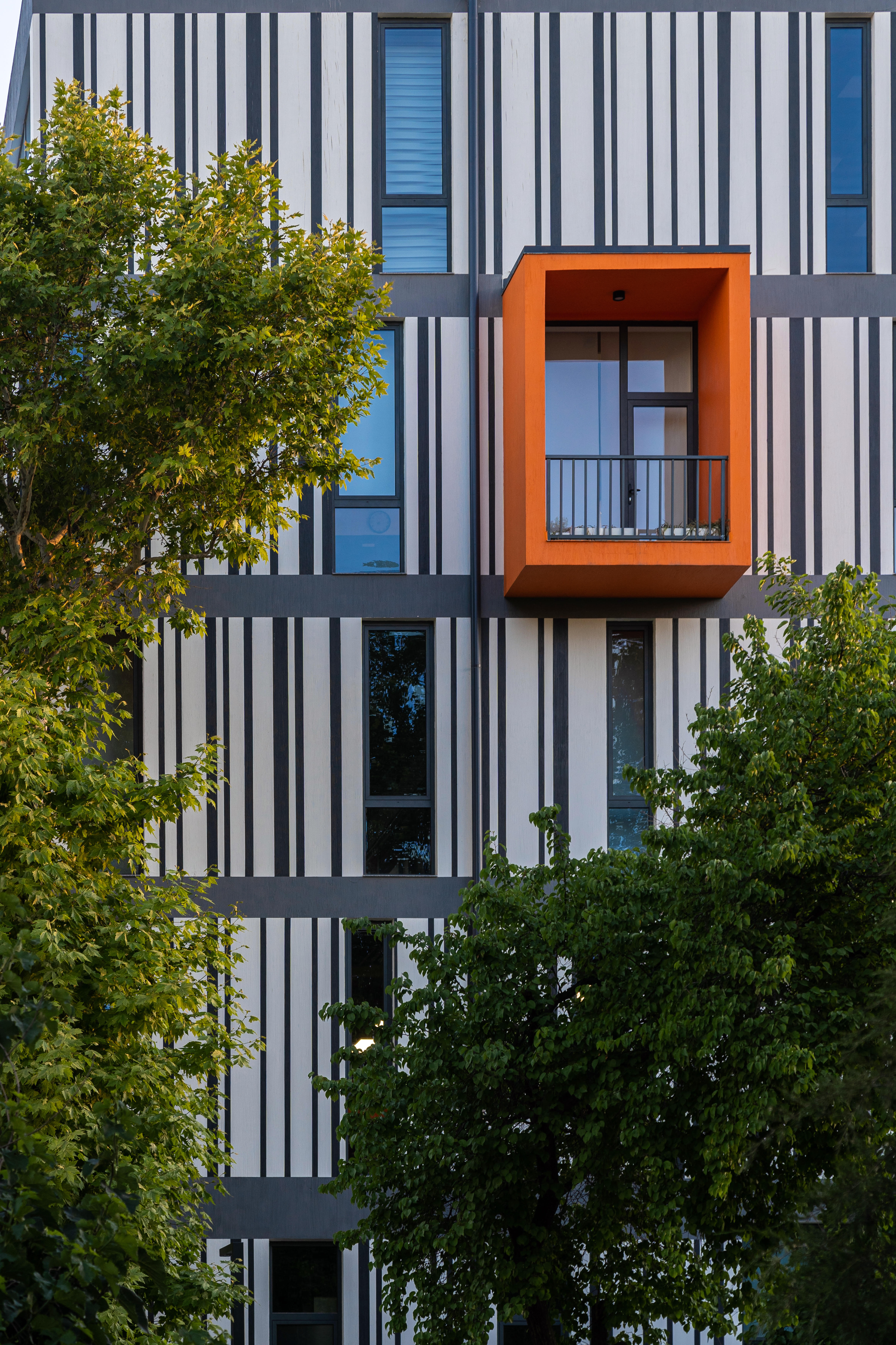 Cambridge visual data 5