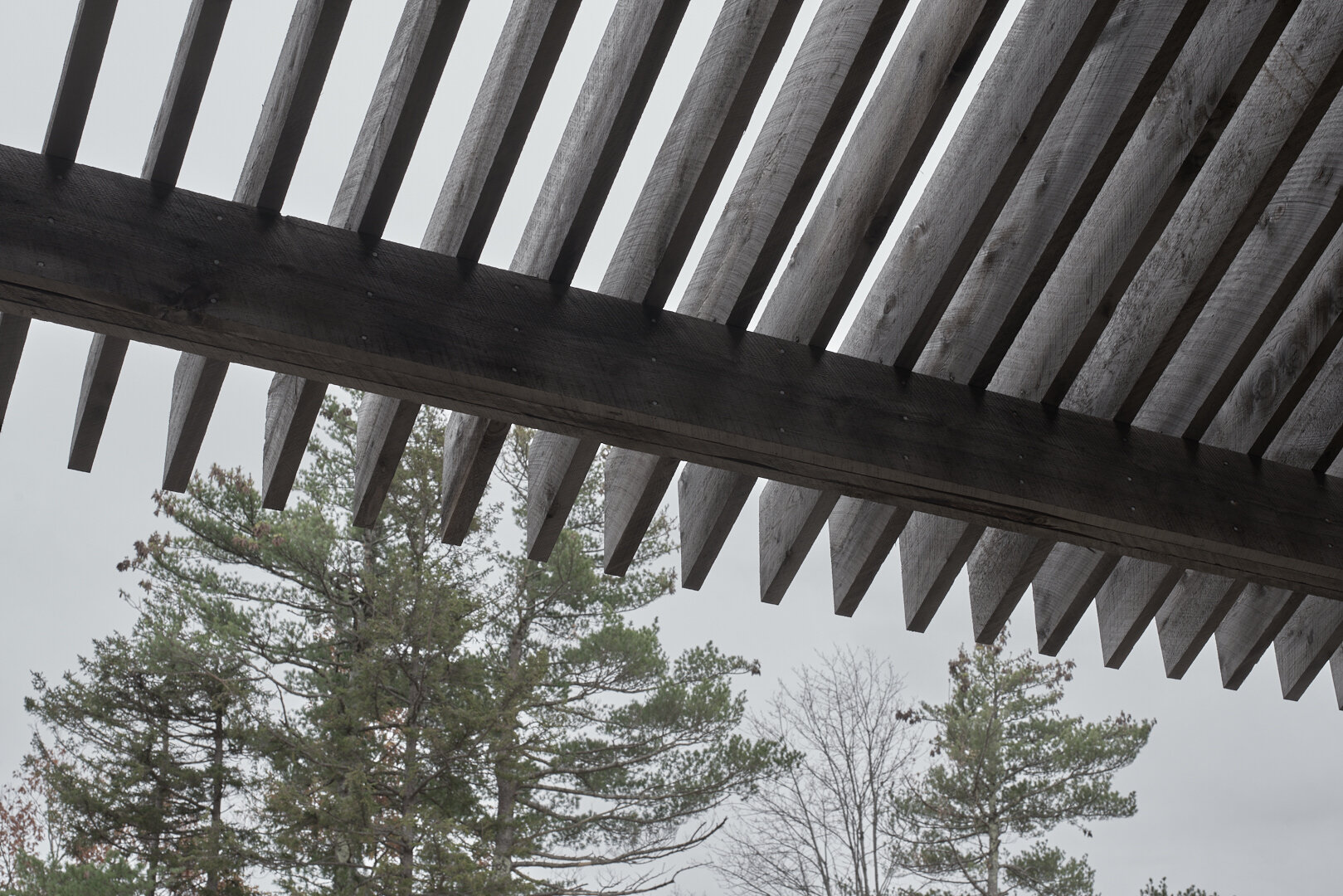 Municipality of the District of Lunenburg by Omar Gandhi Architects Architizer