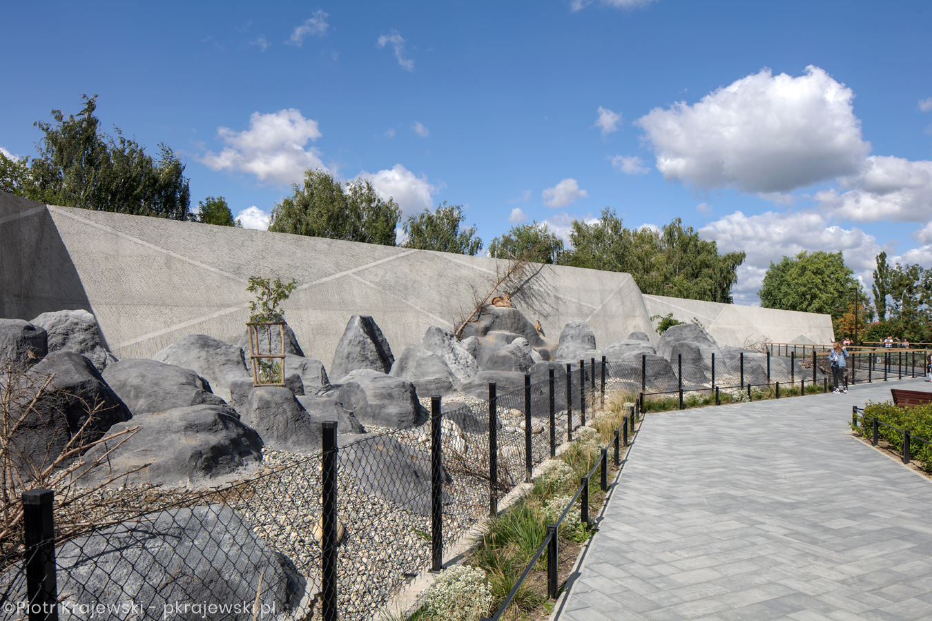 The extension of the ZOO by RYSY Architekci by Piotr Krajewski