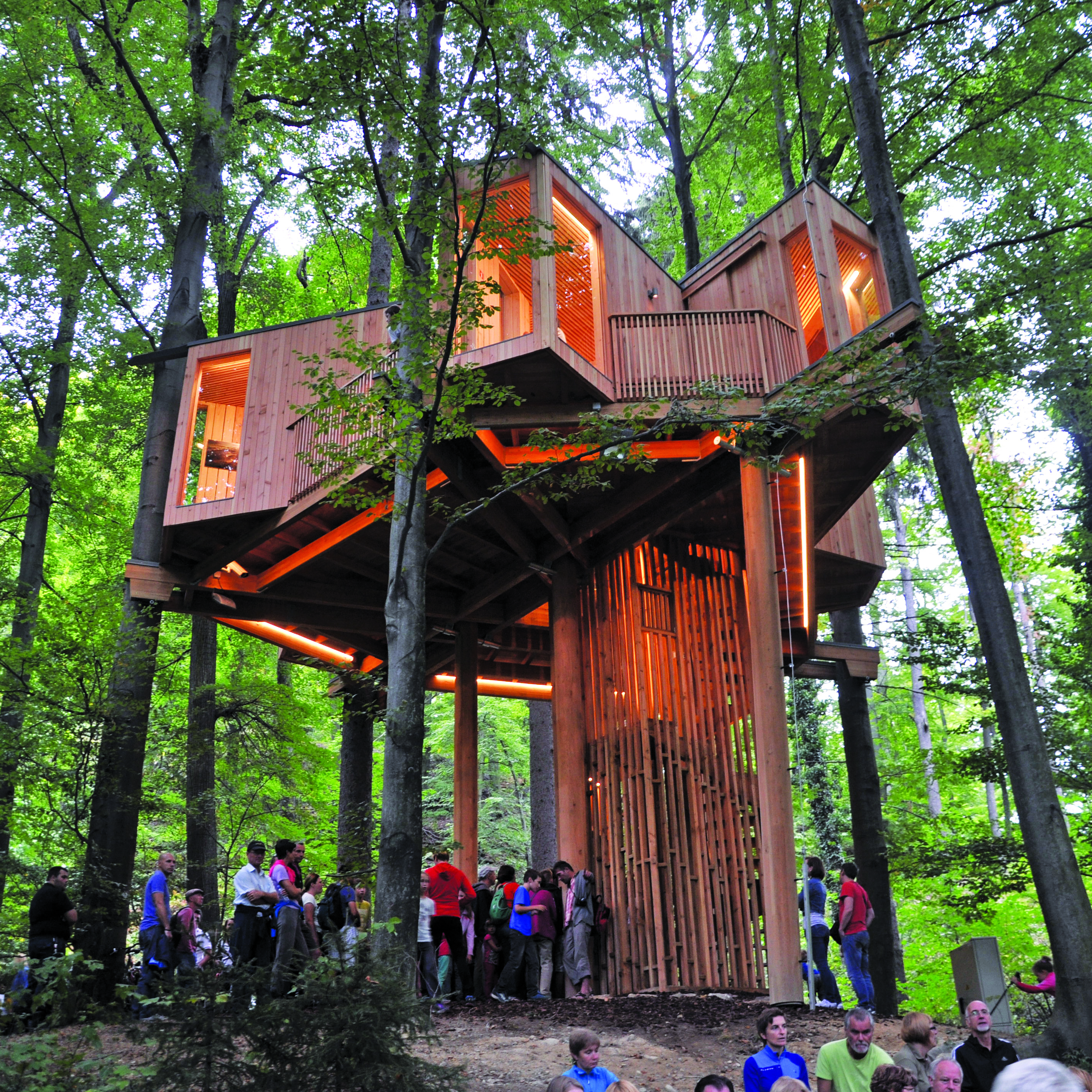 Tree House in Celje Urban Forest by Atelje Ostan Pavlin Architizer