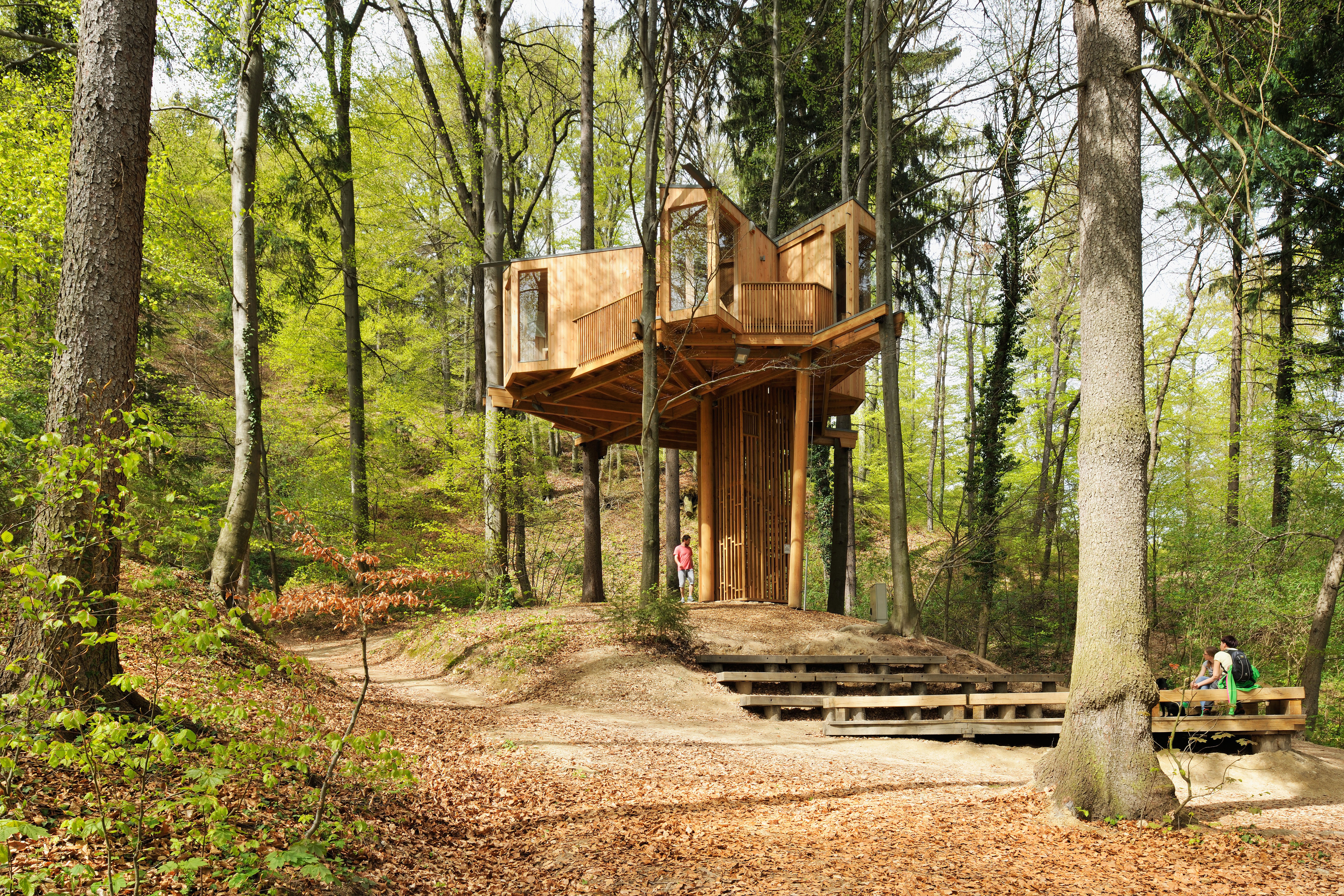 Tree House in Celje Urban Forest by Atelje Ostan Pavlin Architizer