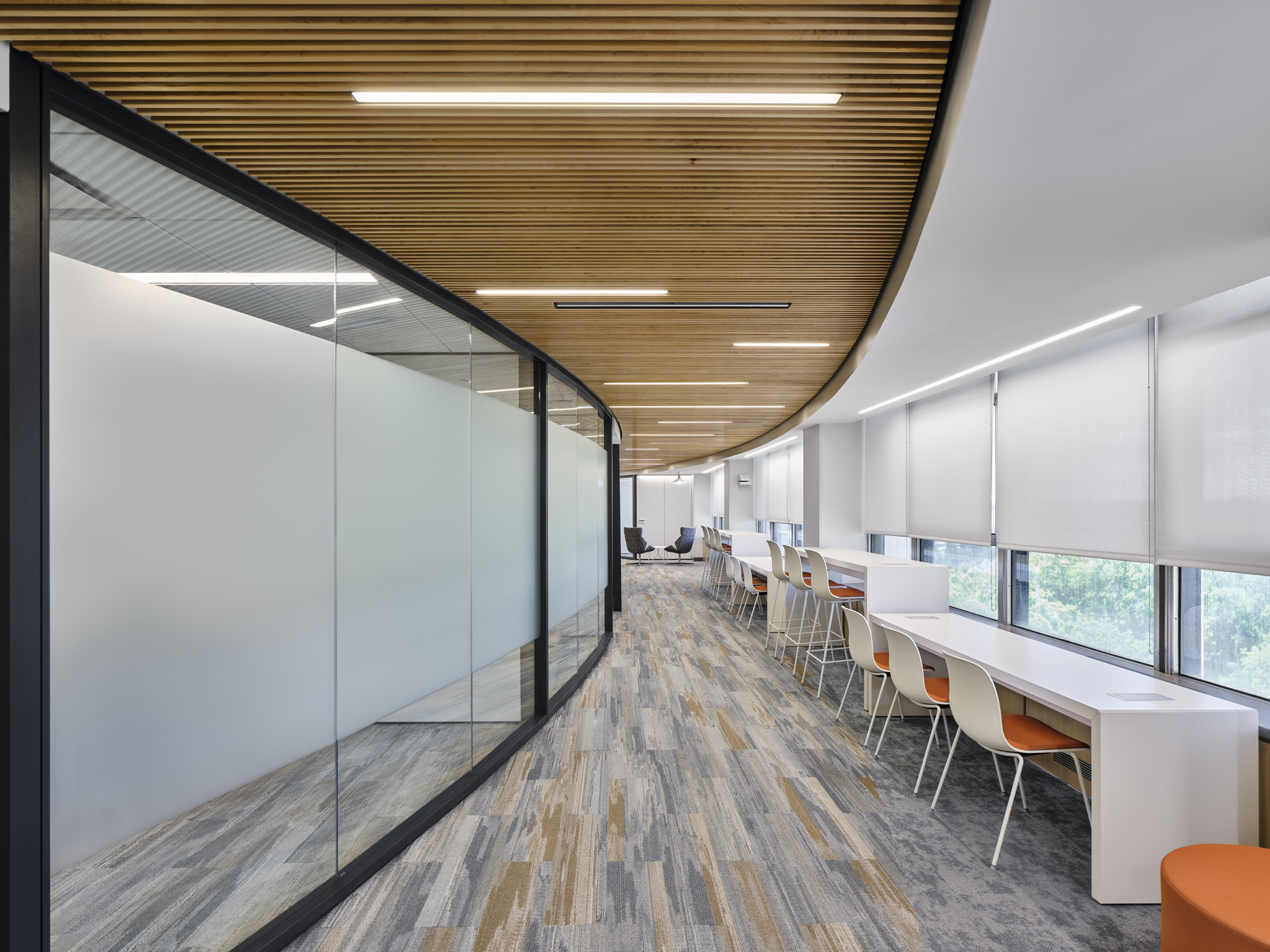 National Institute of Neurological Disorders and Stroke by AE Works ...