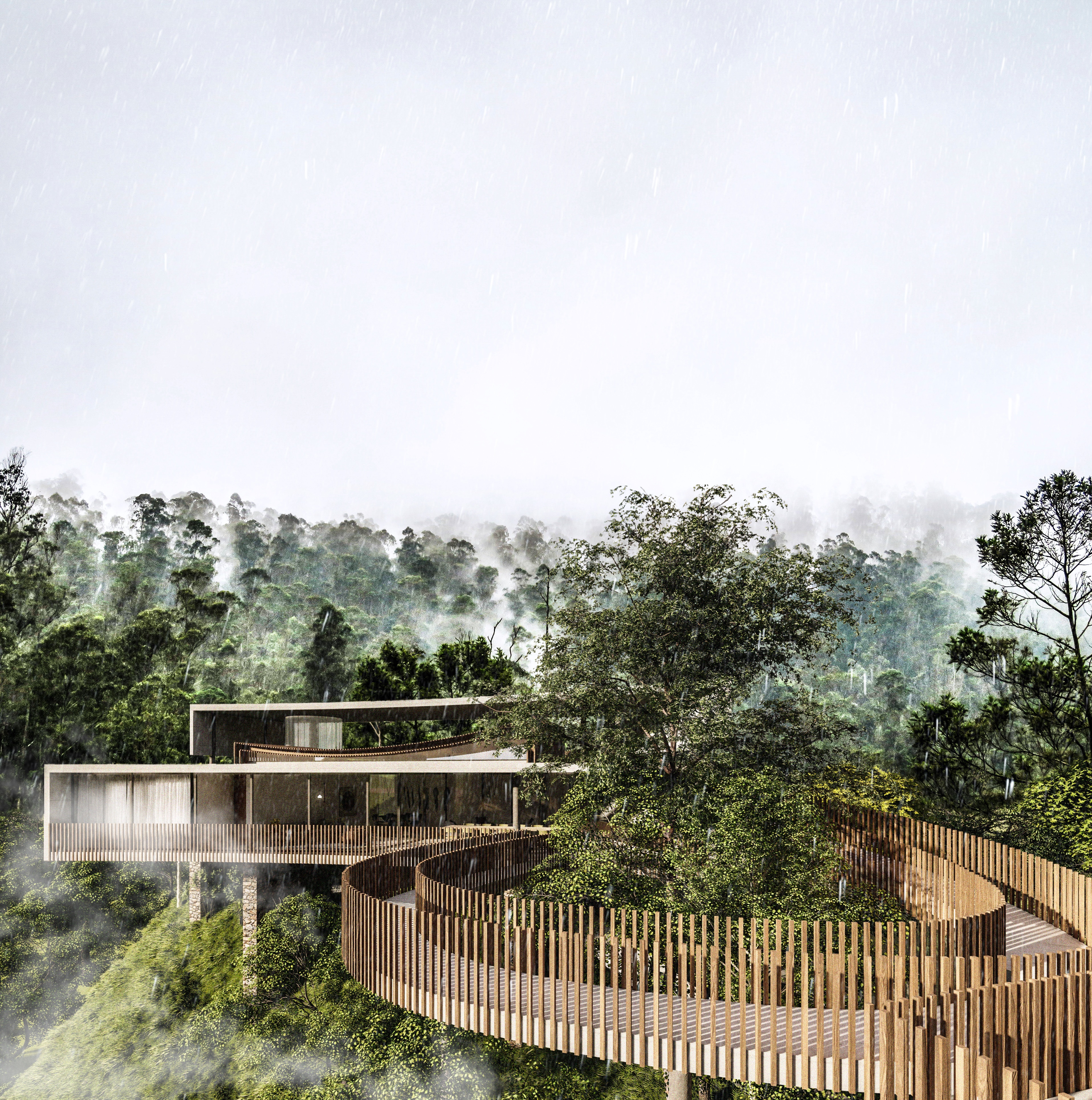 House in the Trees by TETRO ARQUITETURA - Architizer