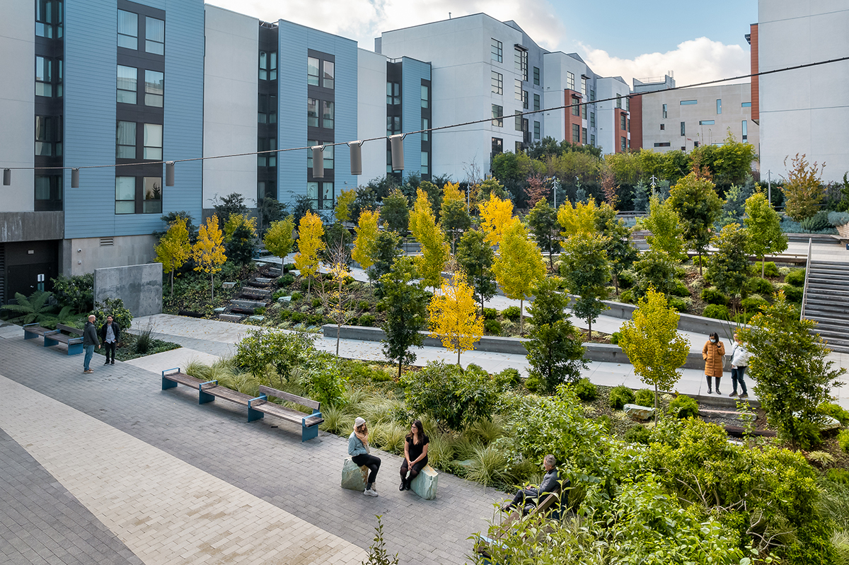 Edwin M. Lee Apartments by GLS Landscape Architecture Architizer