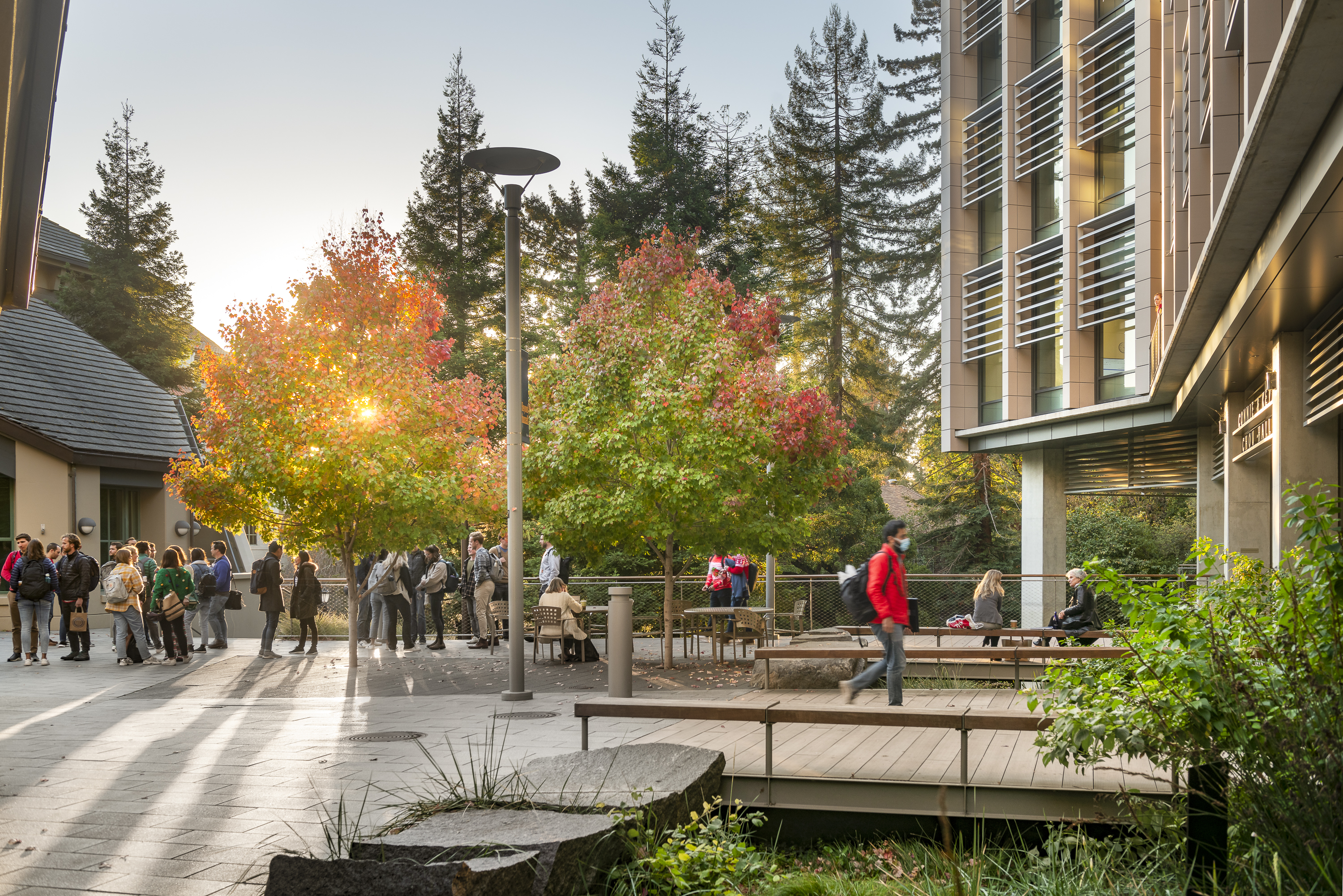 UC Berkeley Haas School Of Business By GLS Landscape | Architecture ...