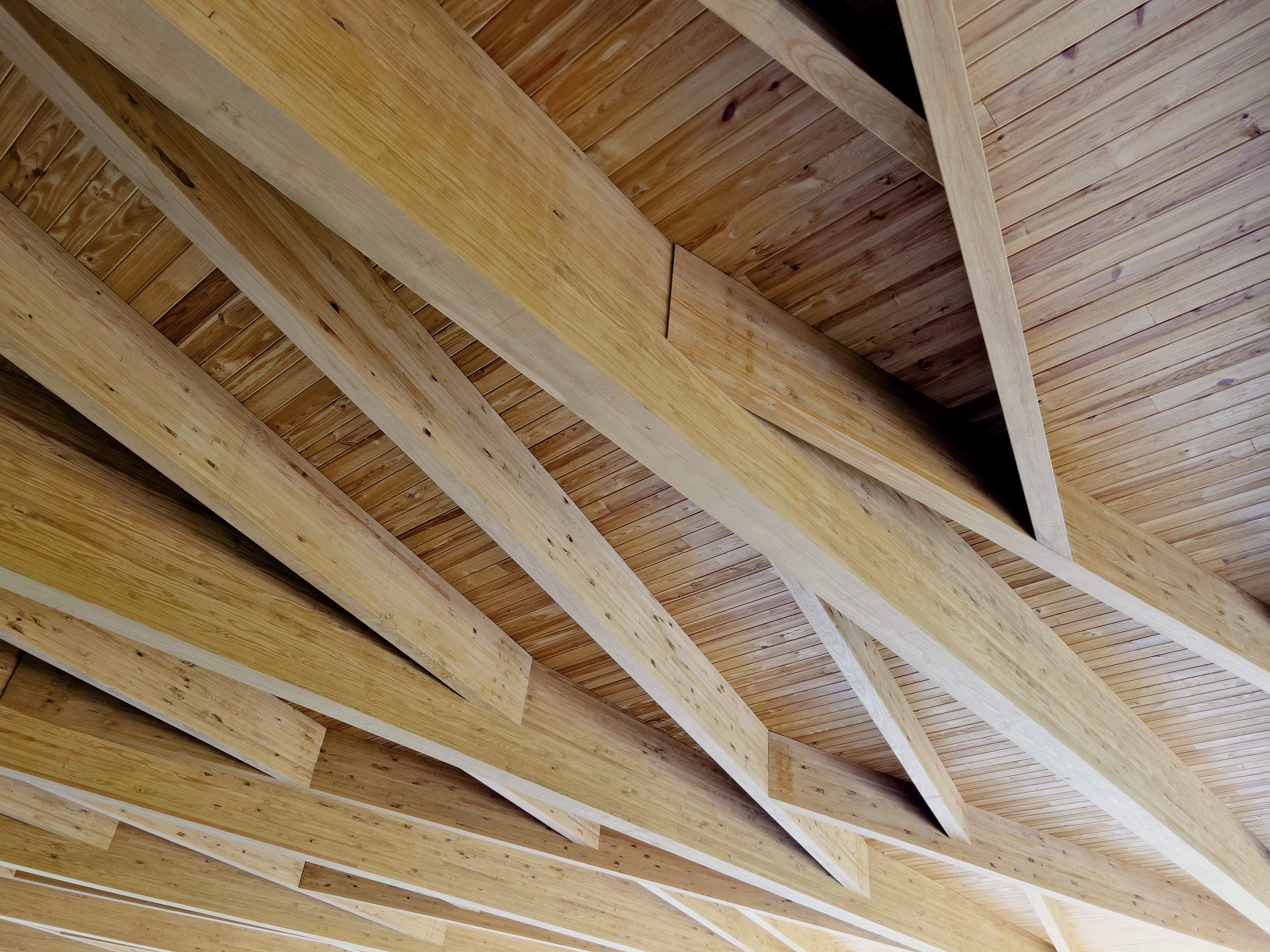 Locust Grove Event Pavilion by de Leon & Primmer Architecture