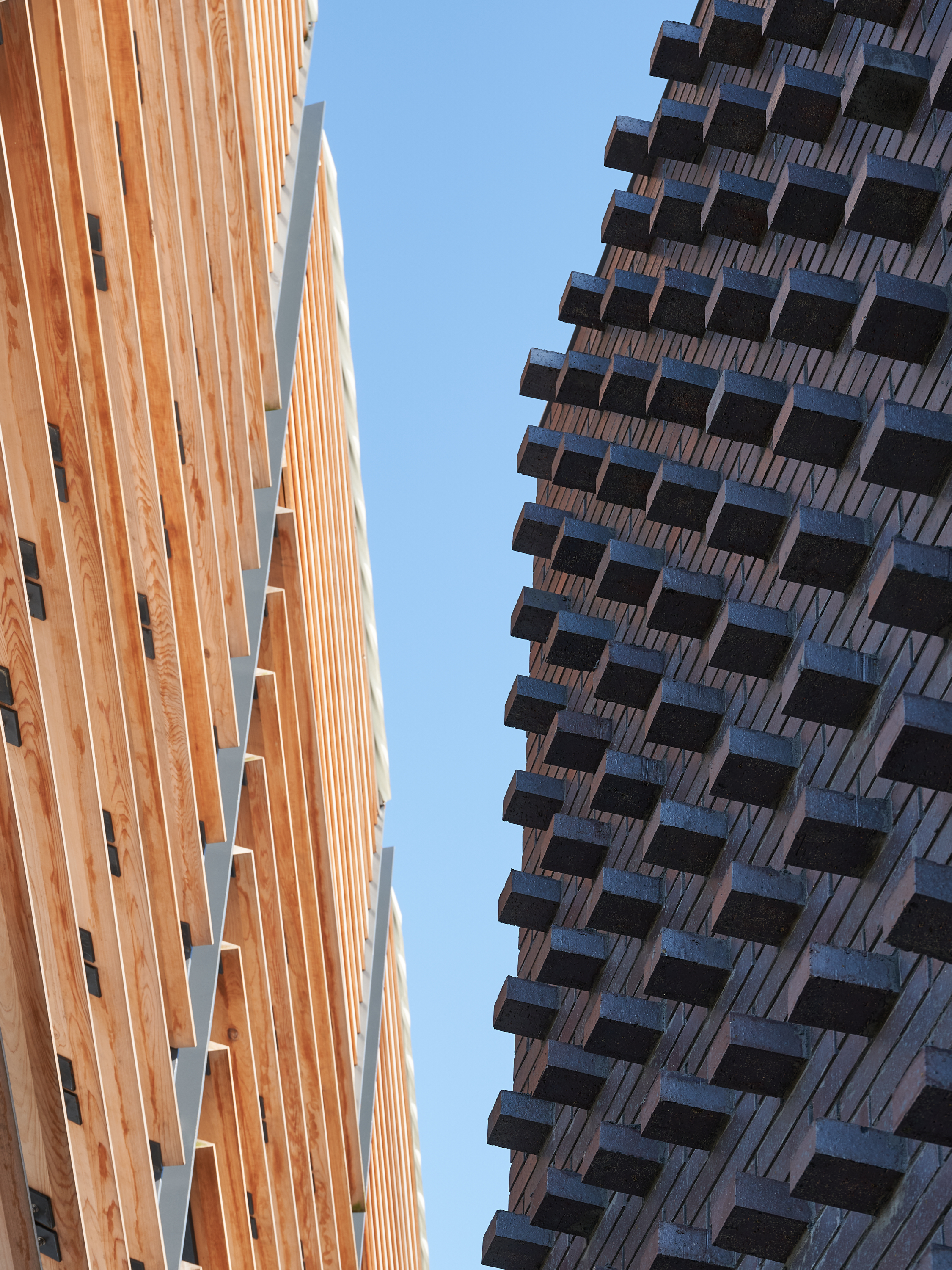 Live Oak Bank Pavilion Park by Sage and Coombe Architects Architizer