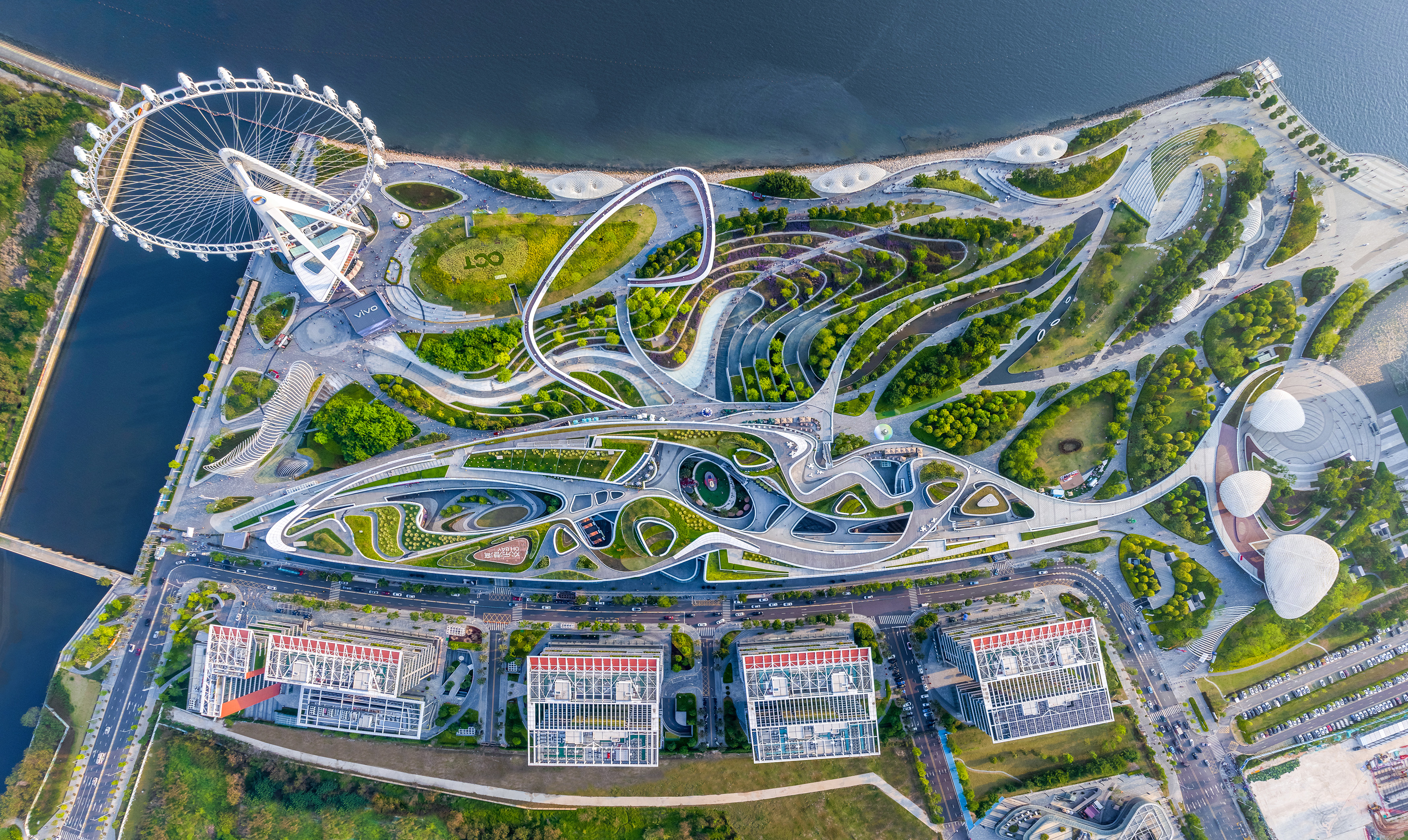 1682437445019Top_view_of_OCT_O