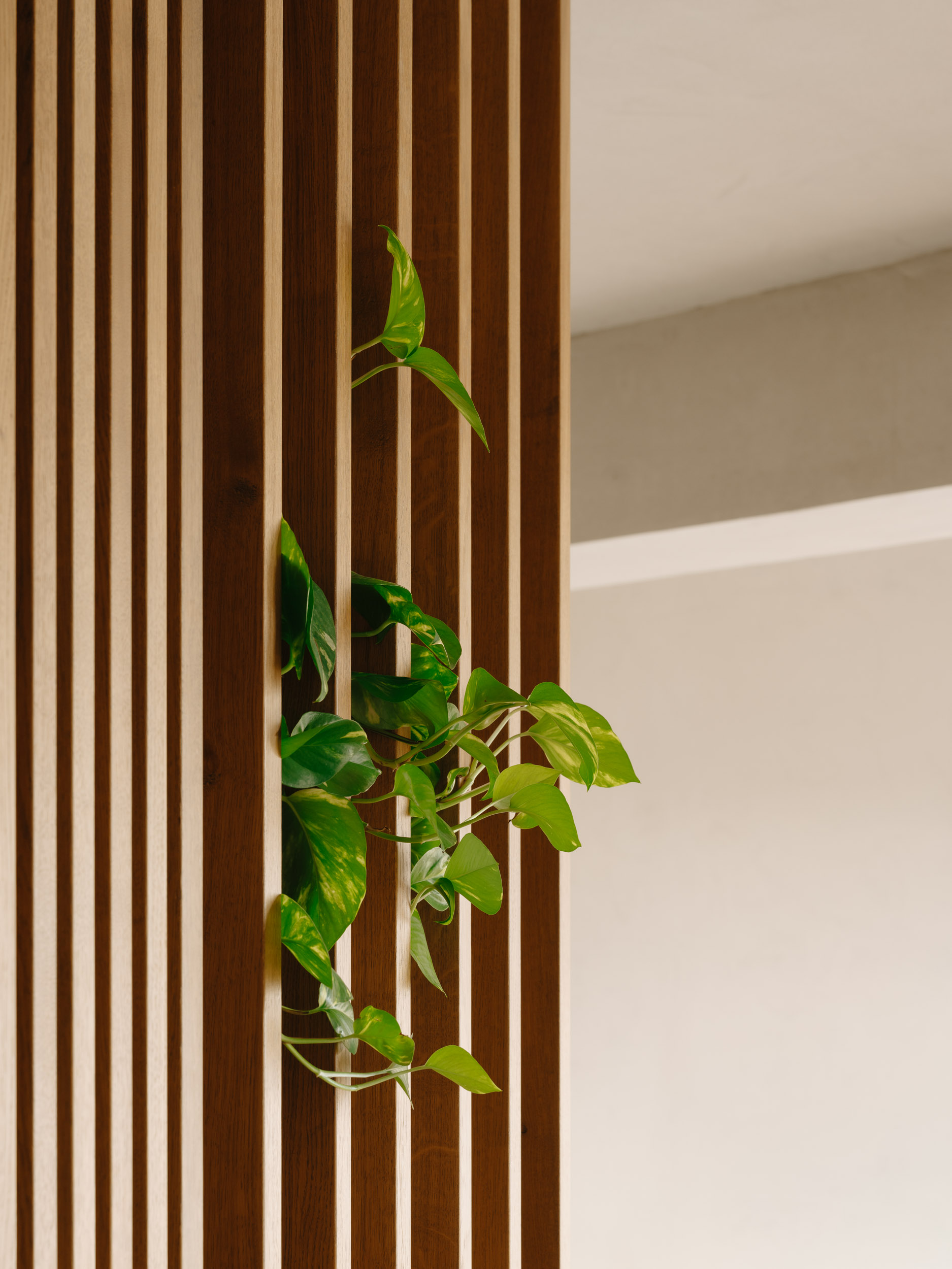 Kastanienallee By Noku Studio Architizer