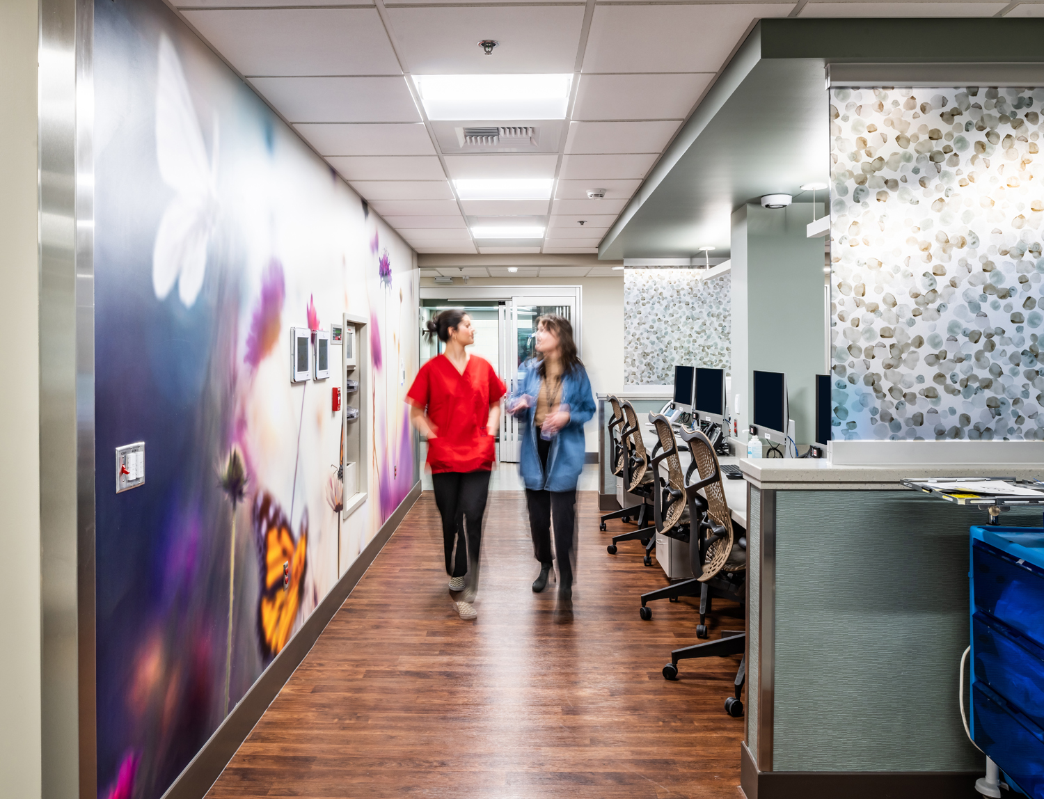 Saint Alphonsus NeST ICU by Cushing Terrell Architizer