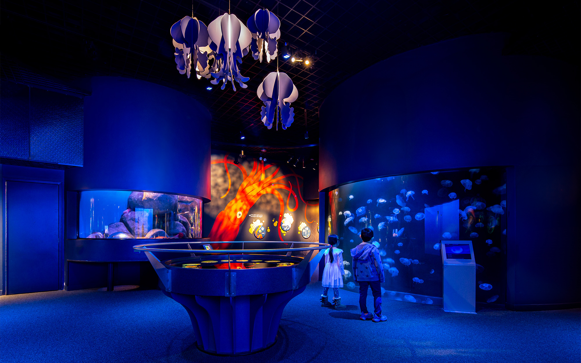 New York Aquarium Spineless & PlayQuarium by di Domenico + Partners