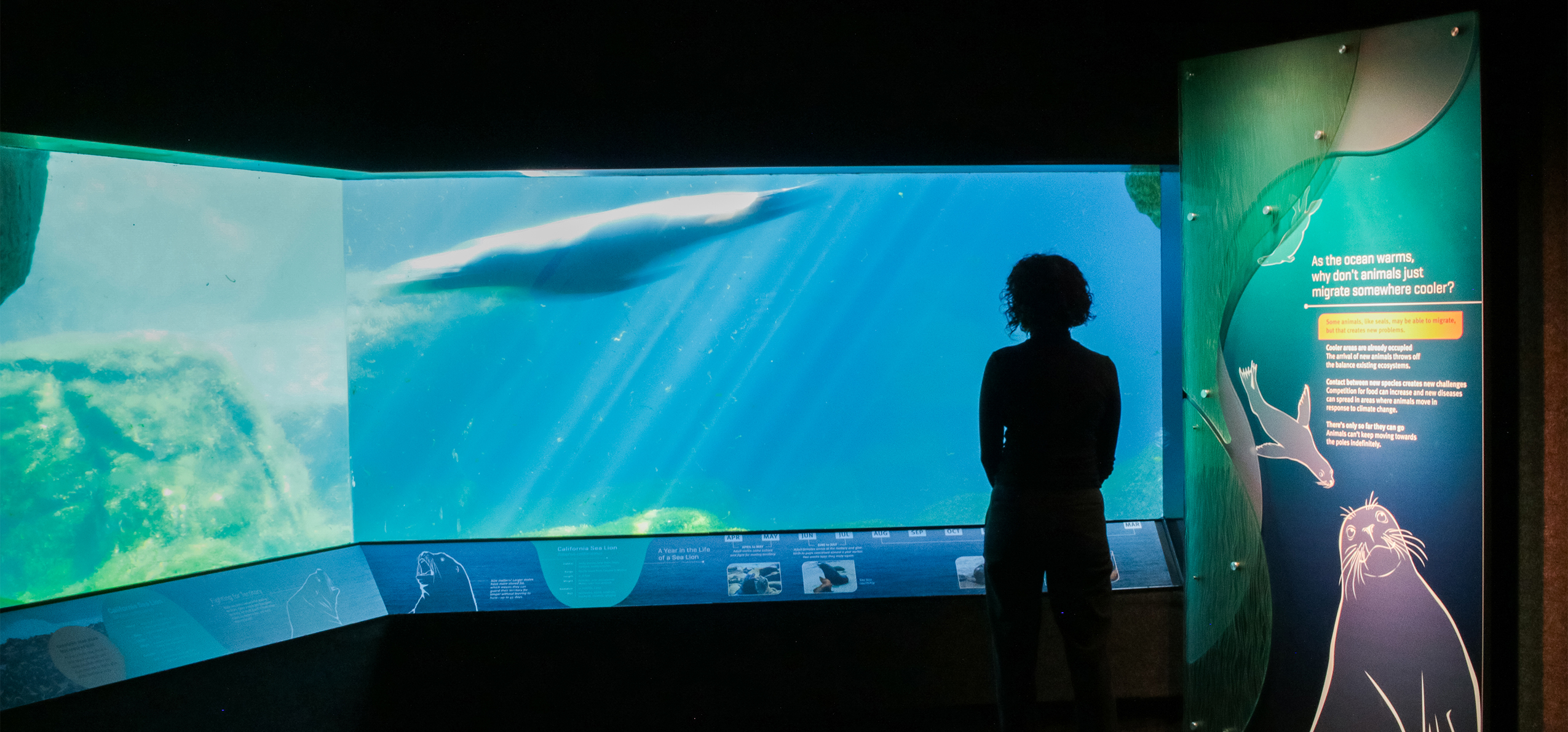 New York Aquarium Sea Change by di Domenico + Partners, LLP Architizer