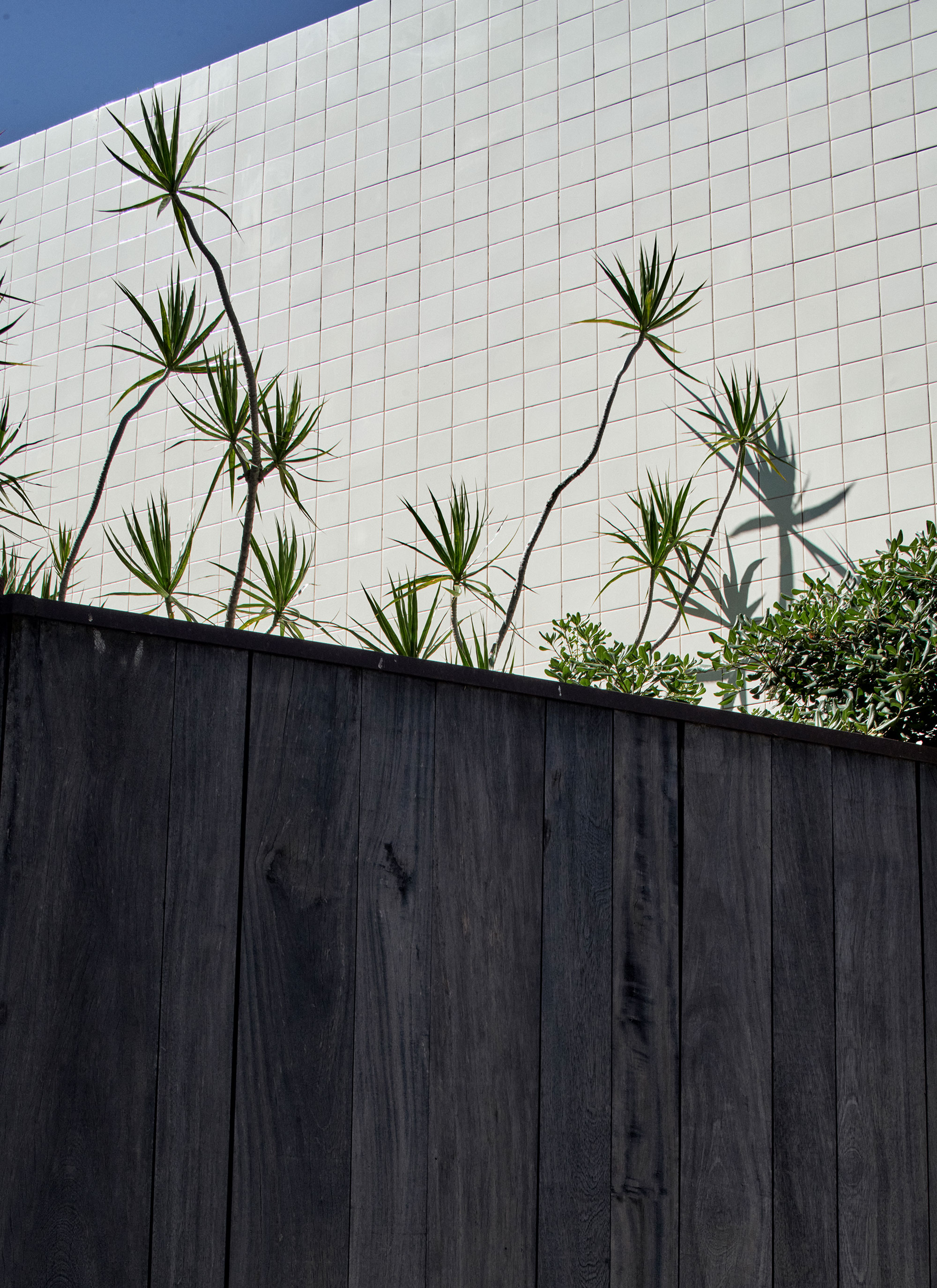 Casa Mendoza by la base studio Architizer