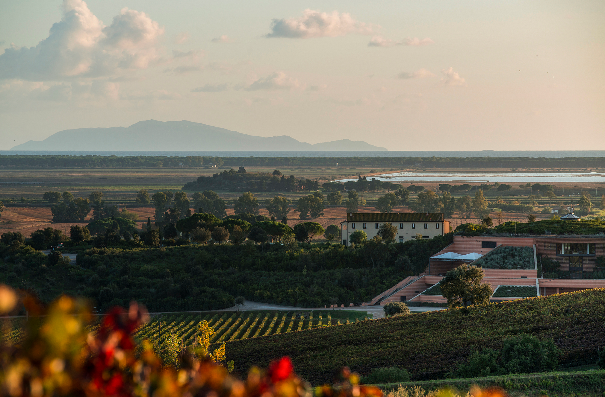 Le Mortelle Winery by HYDEA Architizer