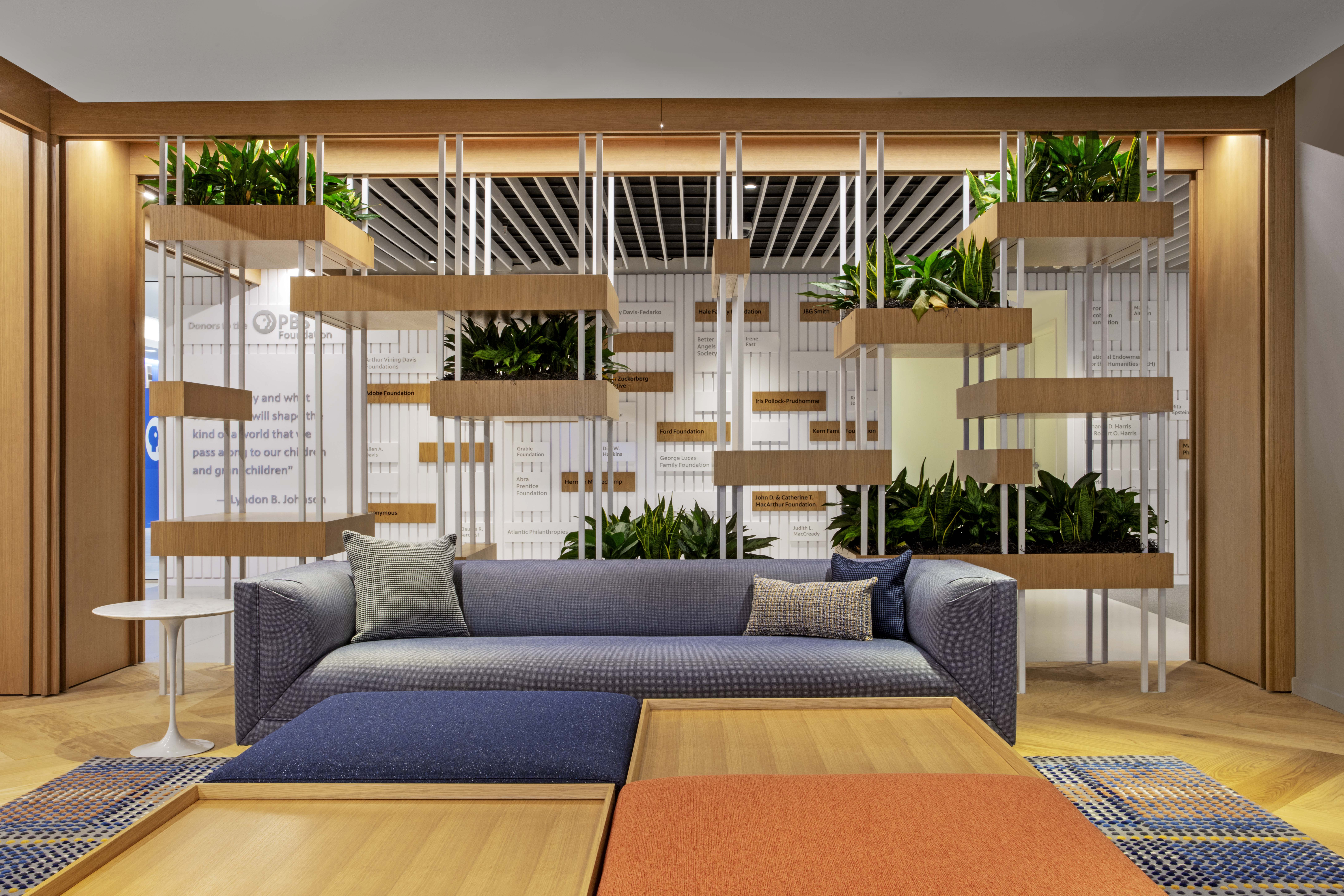 PBS PUBLIC BROADCASTING SERVICE visual data 2