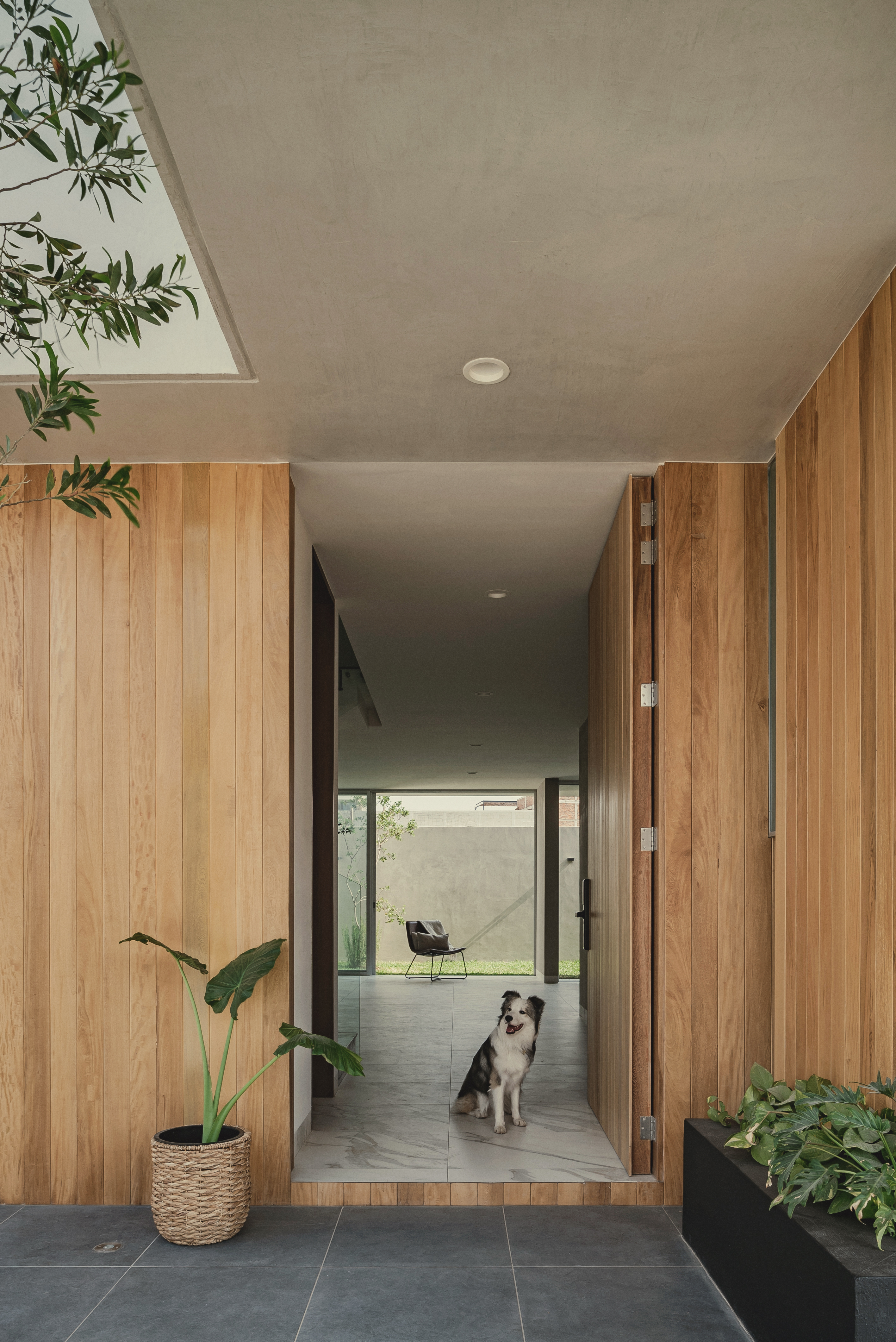 CASA VALLE by Kajim Estudio - Architizer