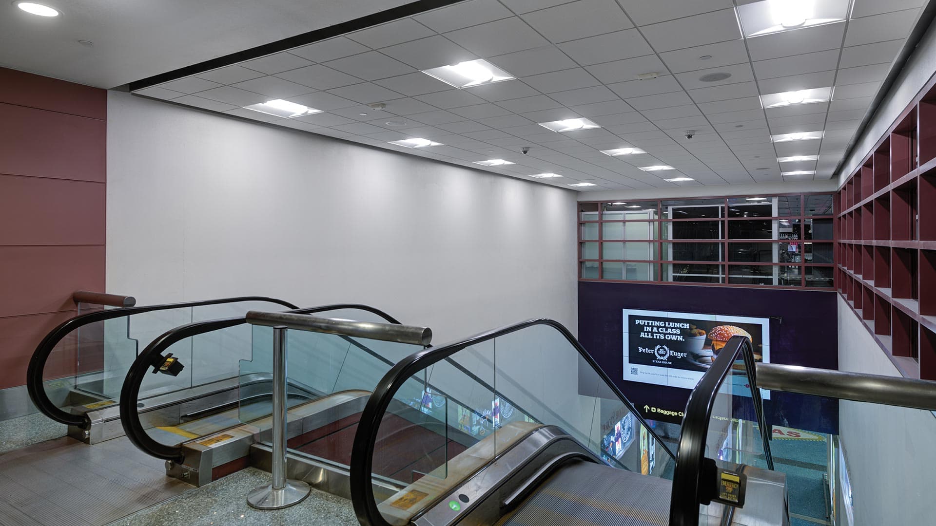 Prince Harry, Duke of Sussex visual data 2