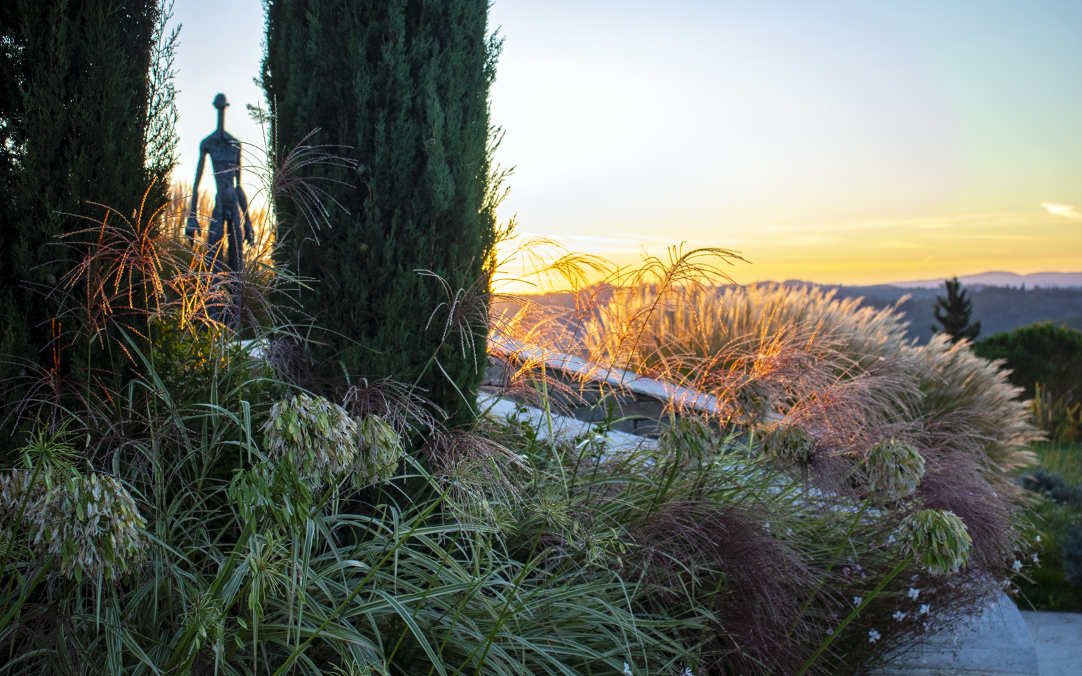 Tuscany Country Garden Art & Biodiversity by Mylandscapes Roof Garden