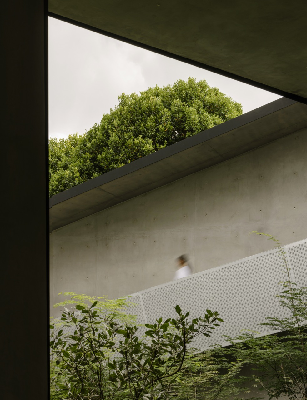 Idea 4269098: Concrete House by Formwerkz Architects in Singapore ...