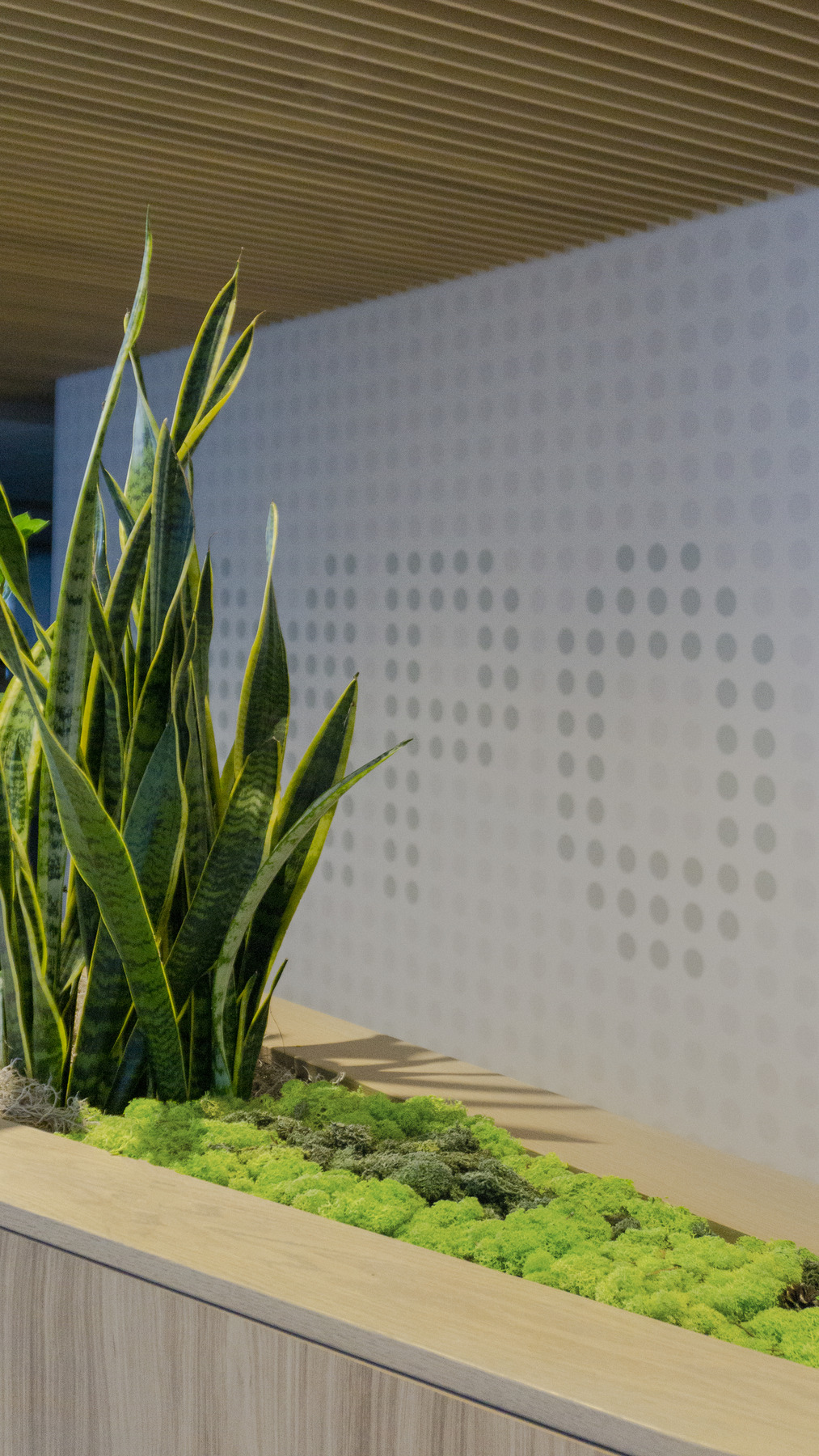 Cochlear North American Headquarters by DLR Group - Architizer