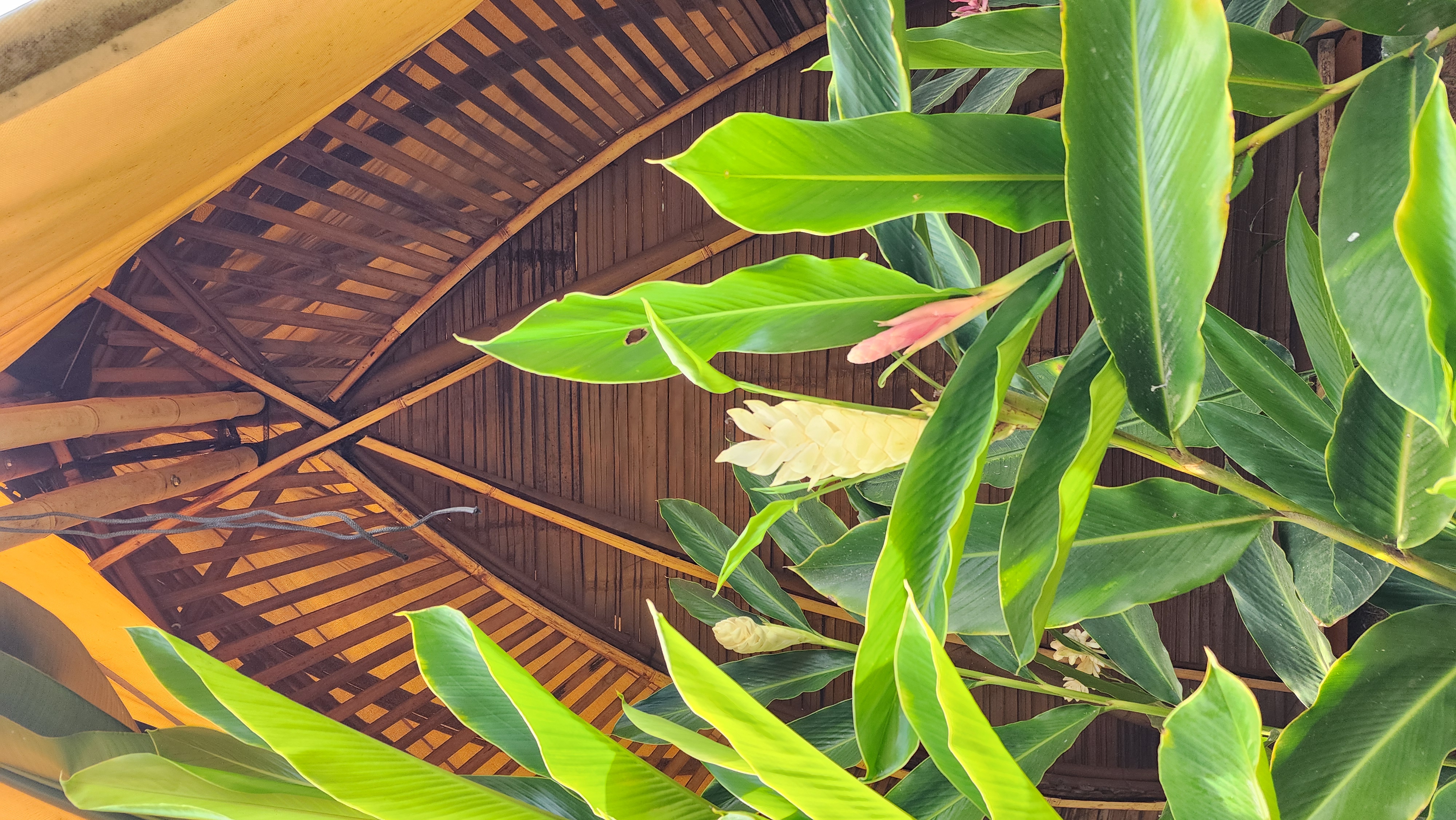 qasa-by-bamboo-master-co-architizer