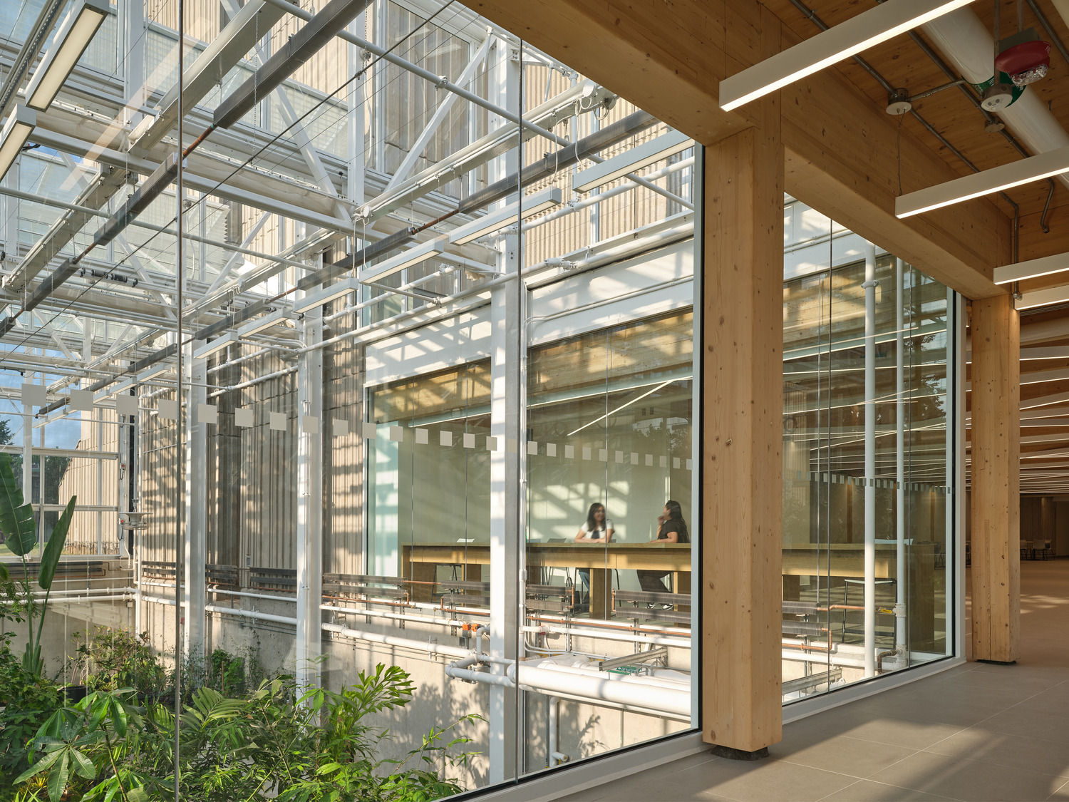 McMaster Life Science Building and Greenhouse by Moriyama Teshima ...