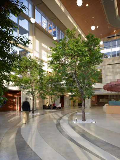 Dublin Methodist Hospital Architizer