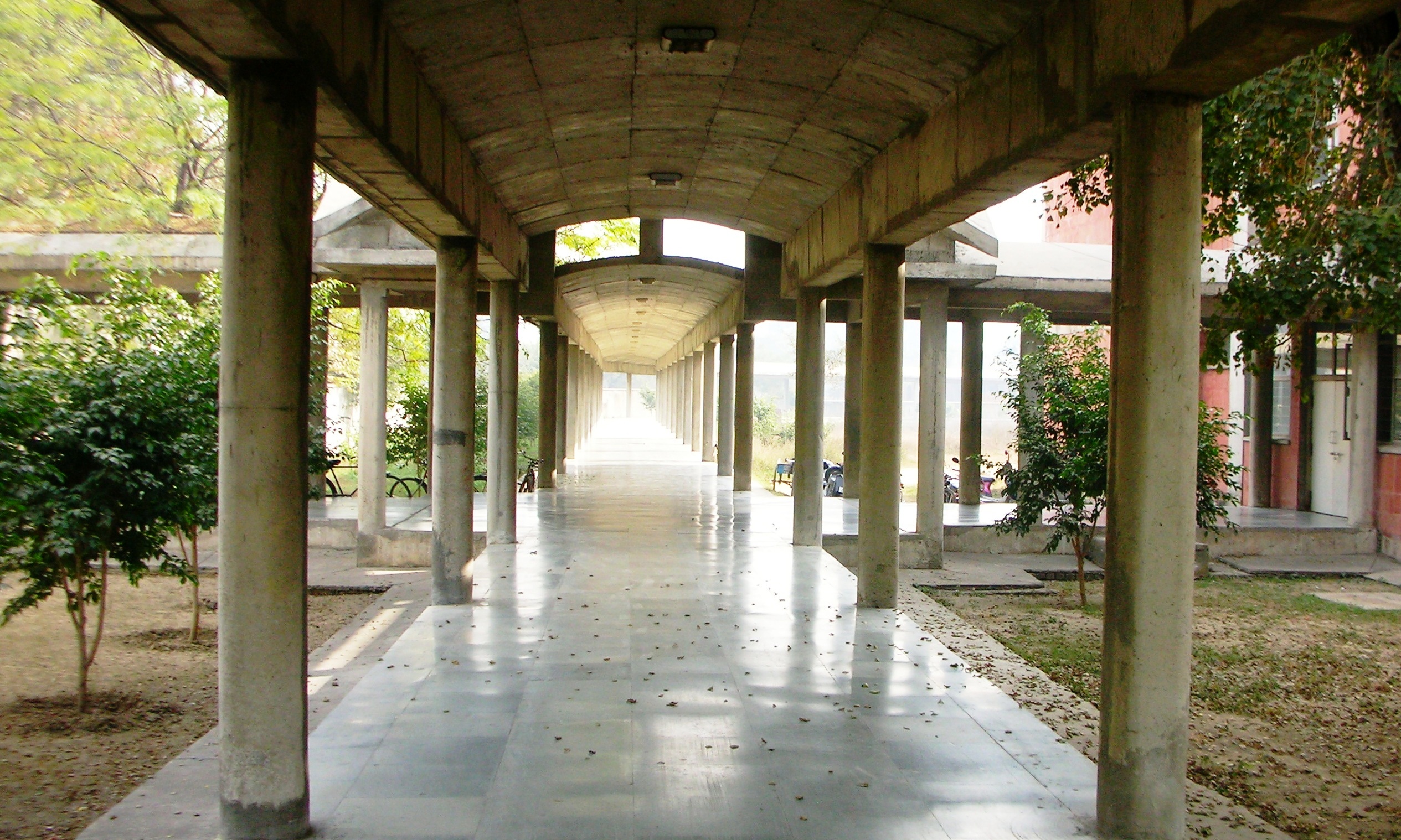 Idea 311161 VIDYA SAGAR INSTITUTE OF MENTAL HEALTH, AMRITSAR in