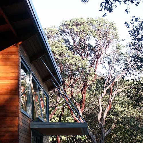 Manzanita House by Klopf Architecture Architizer