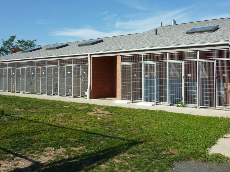 Southold Animal Shelter by studio a/b architects Architizer