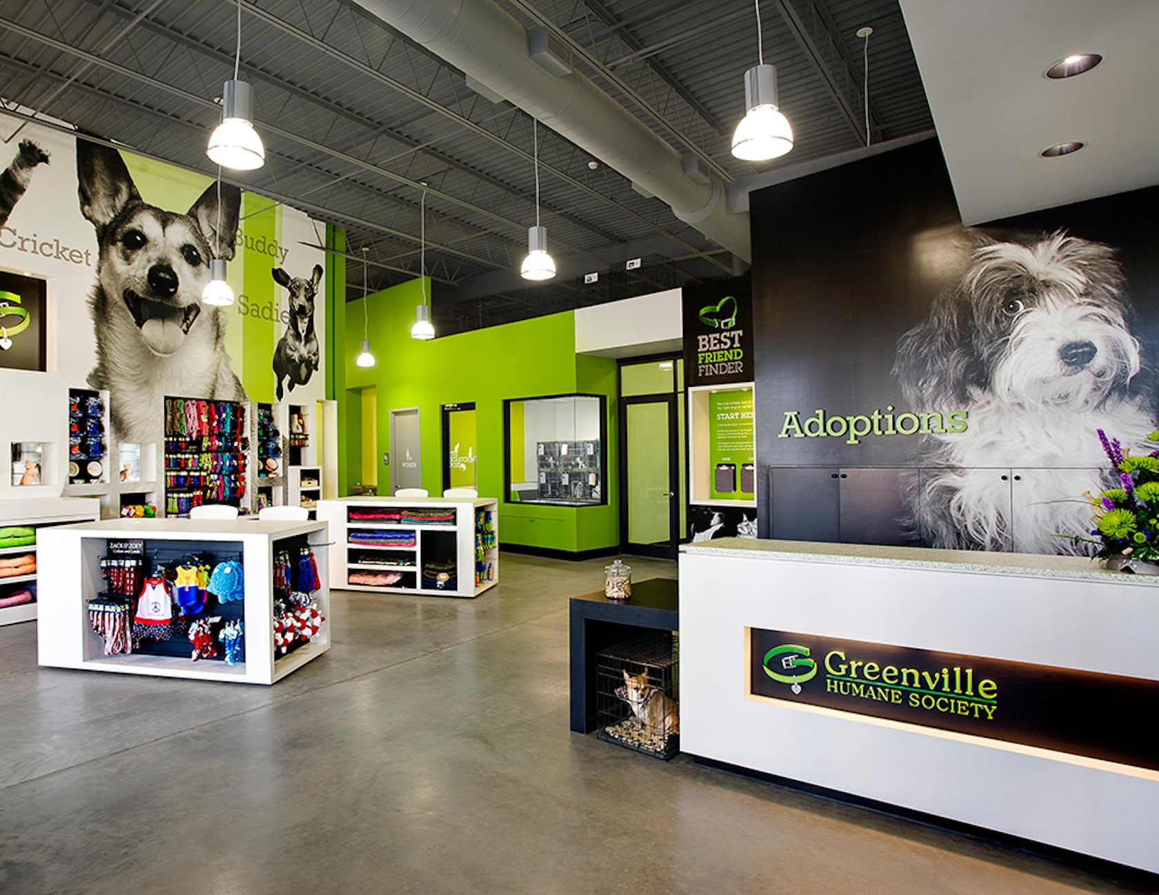 Humane society greenville sc amerigroup over the counter benefits