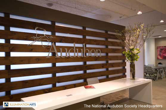 The National Audubon Society Headquarters by Illumination Arts LLC