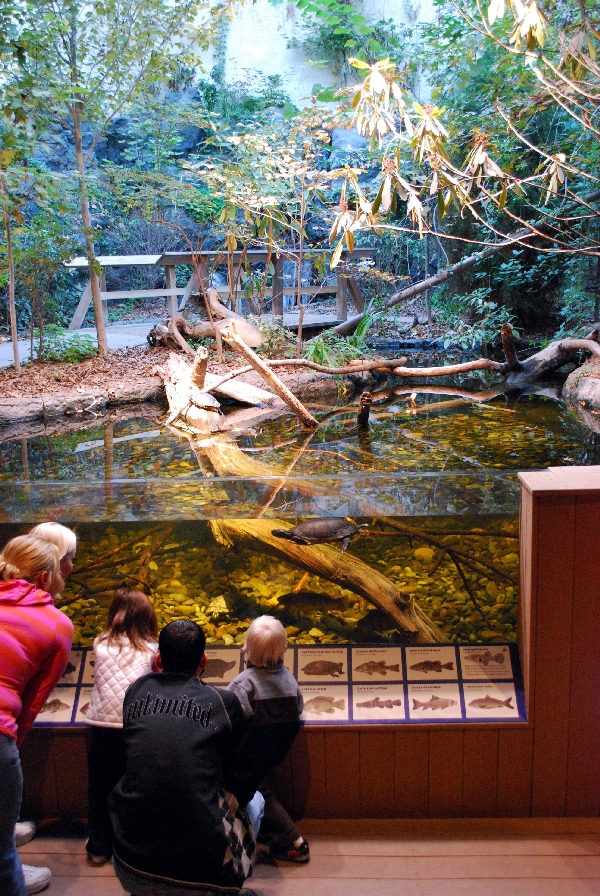 Virginia Aquarium Restless Architizer